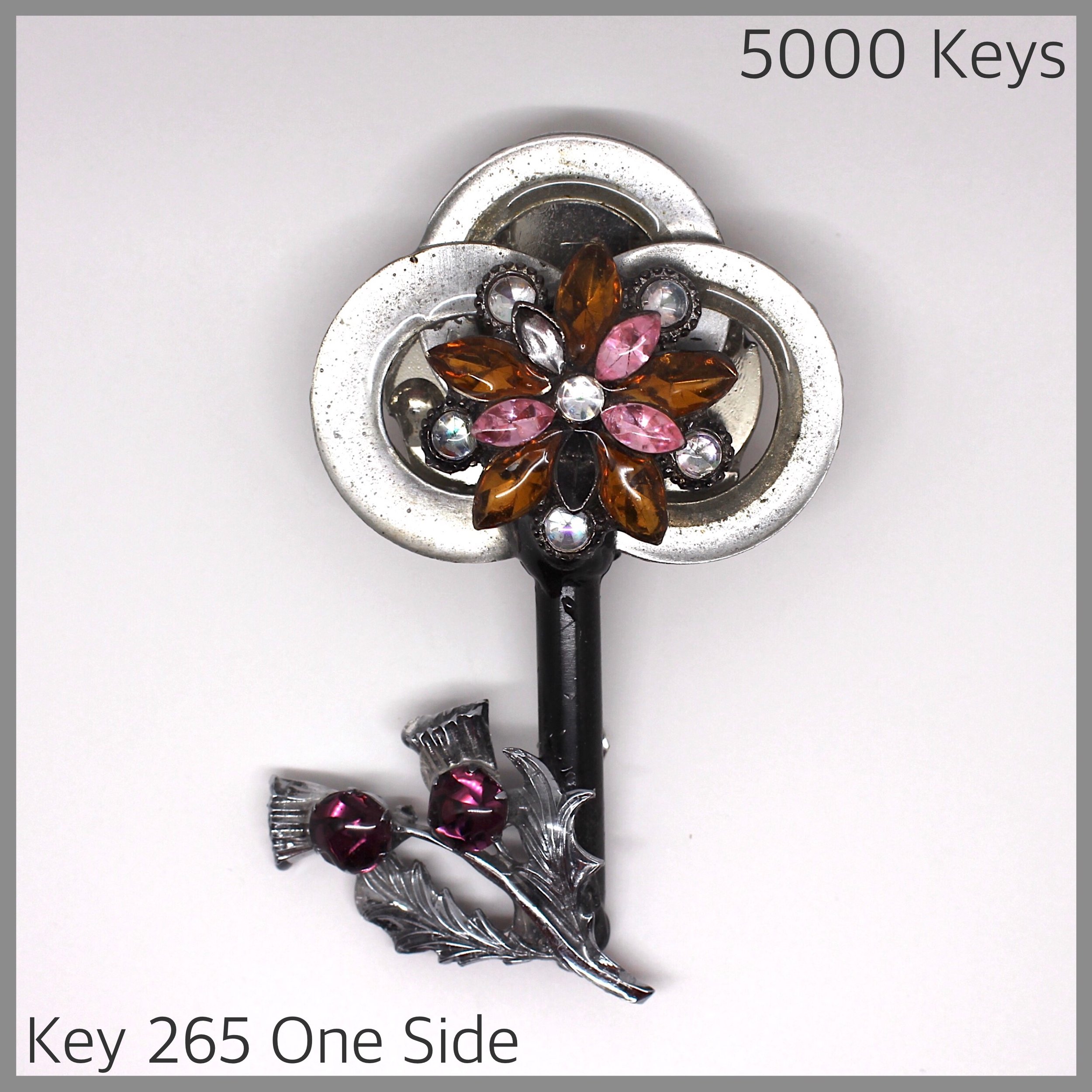 Key 265 one side - 1.JPG