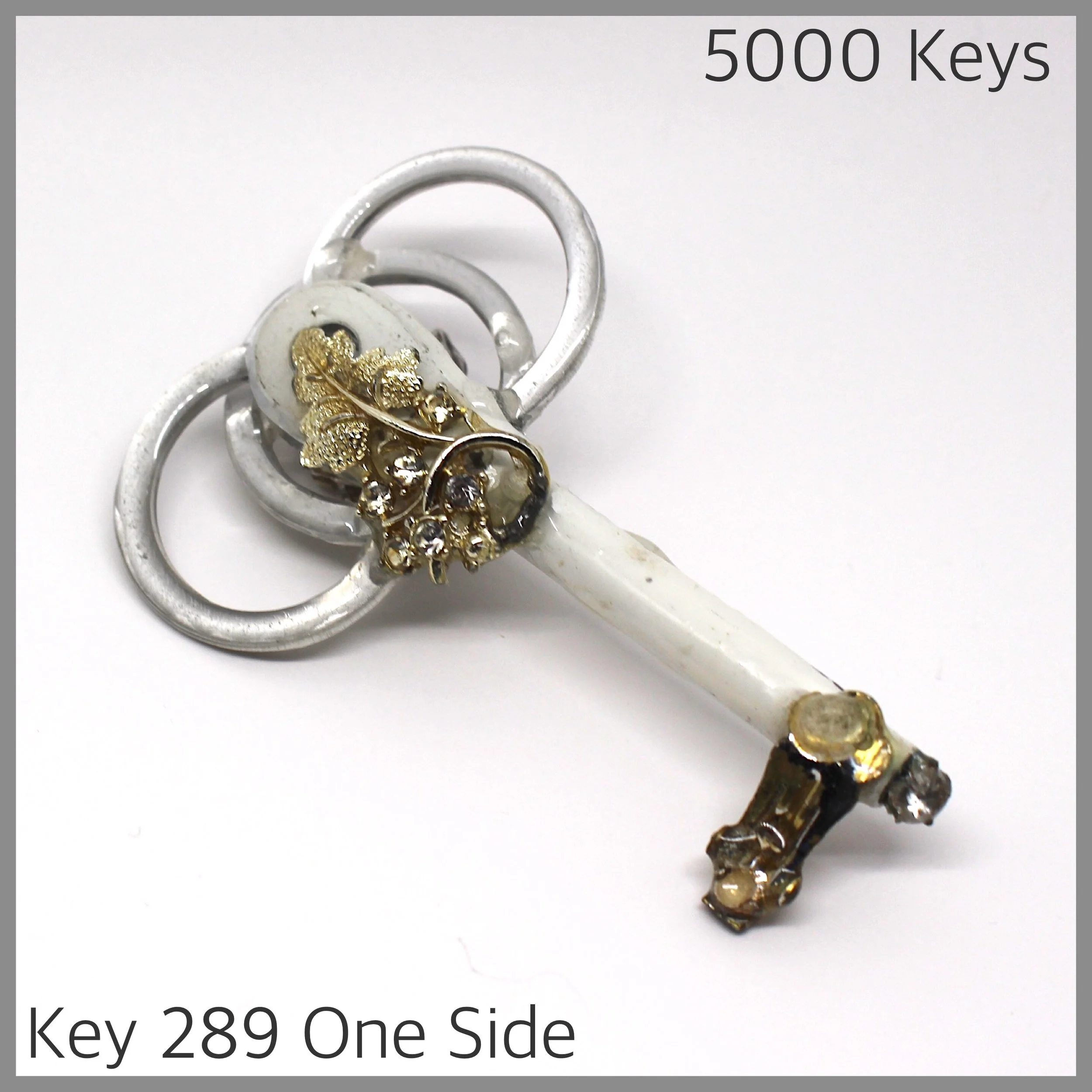 Key 289 one side - 1.JPG