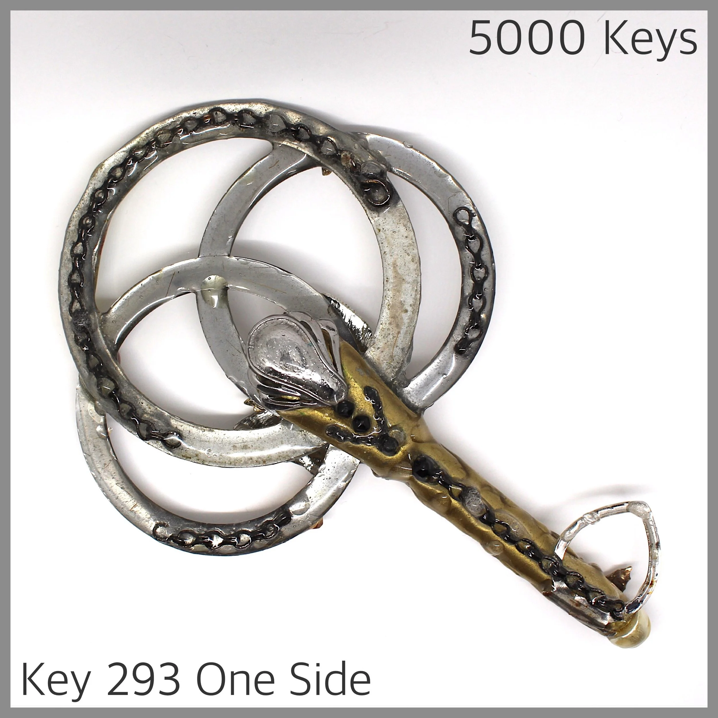 Key 293 one side - 1.JPG