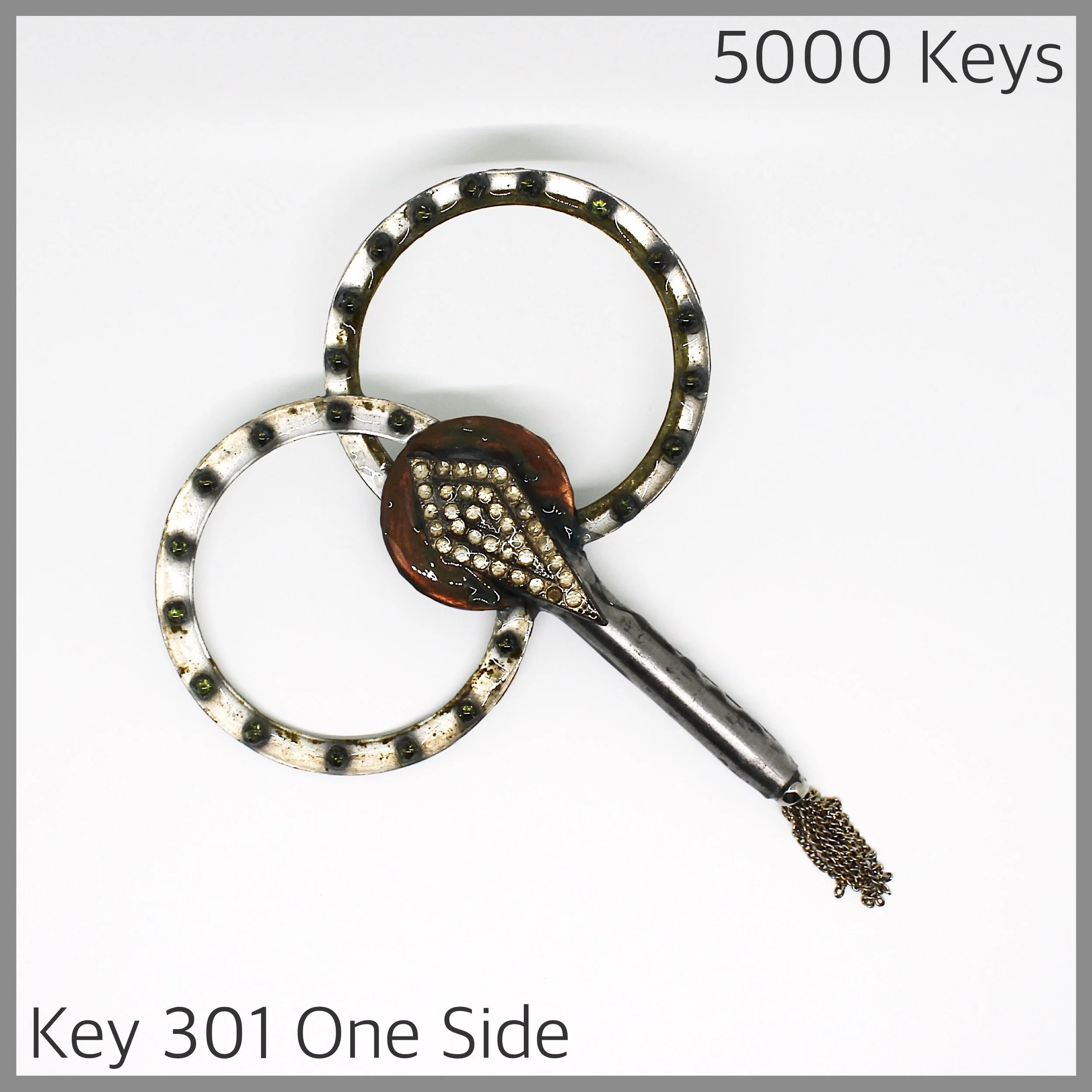 Key 301 one side - 1.JPG