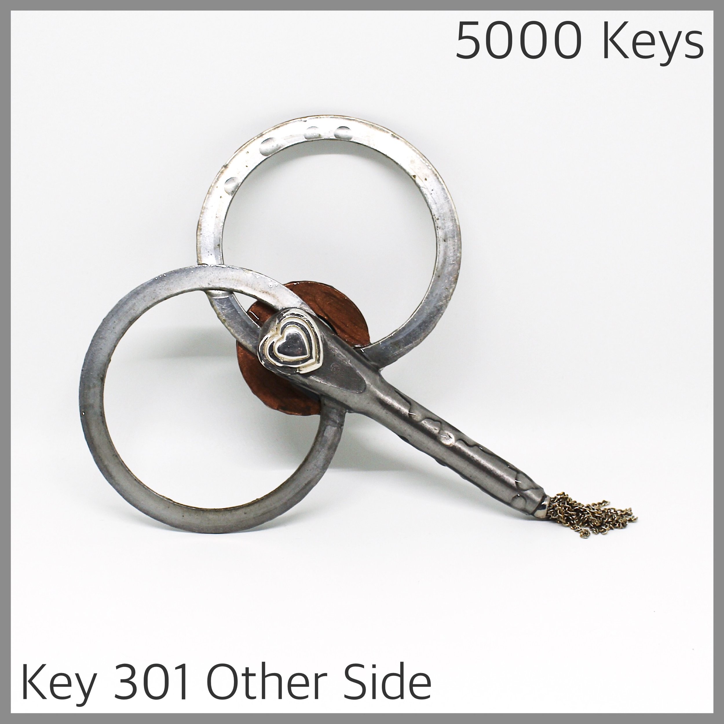 Key 301 other side - 1.JPG