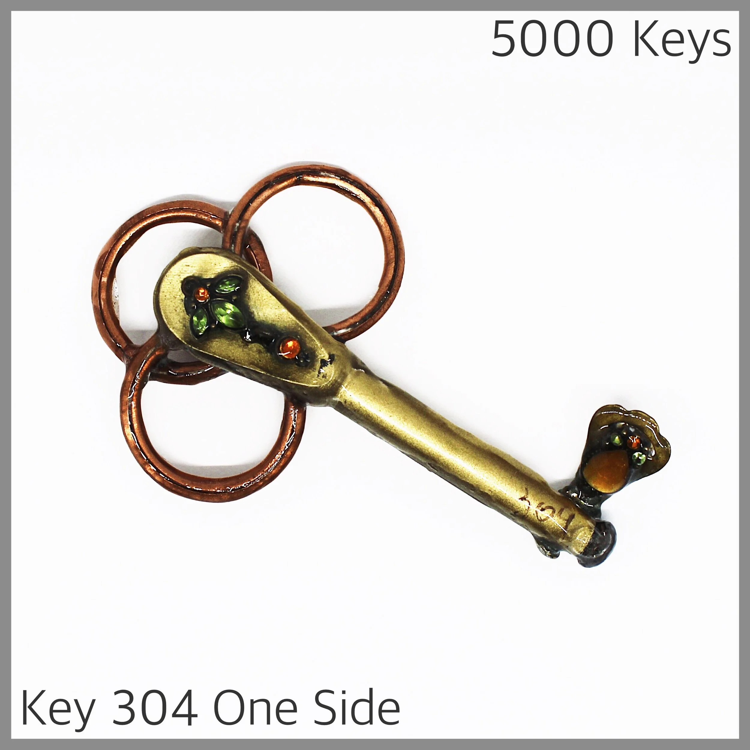 Key 304 one side - 1.JPG