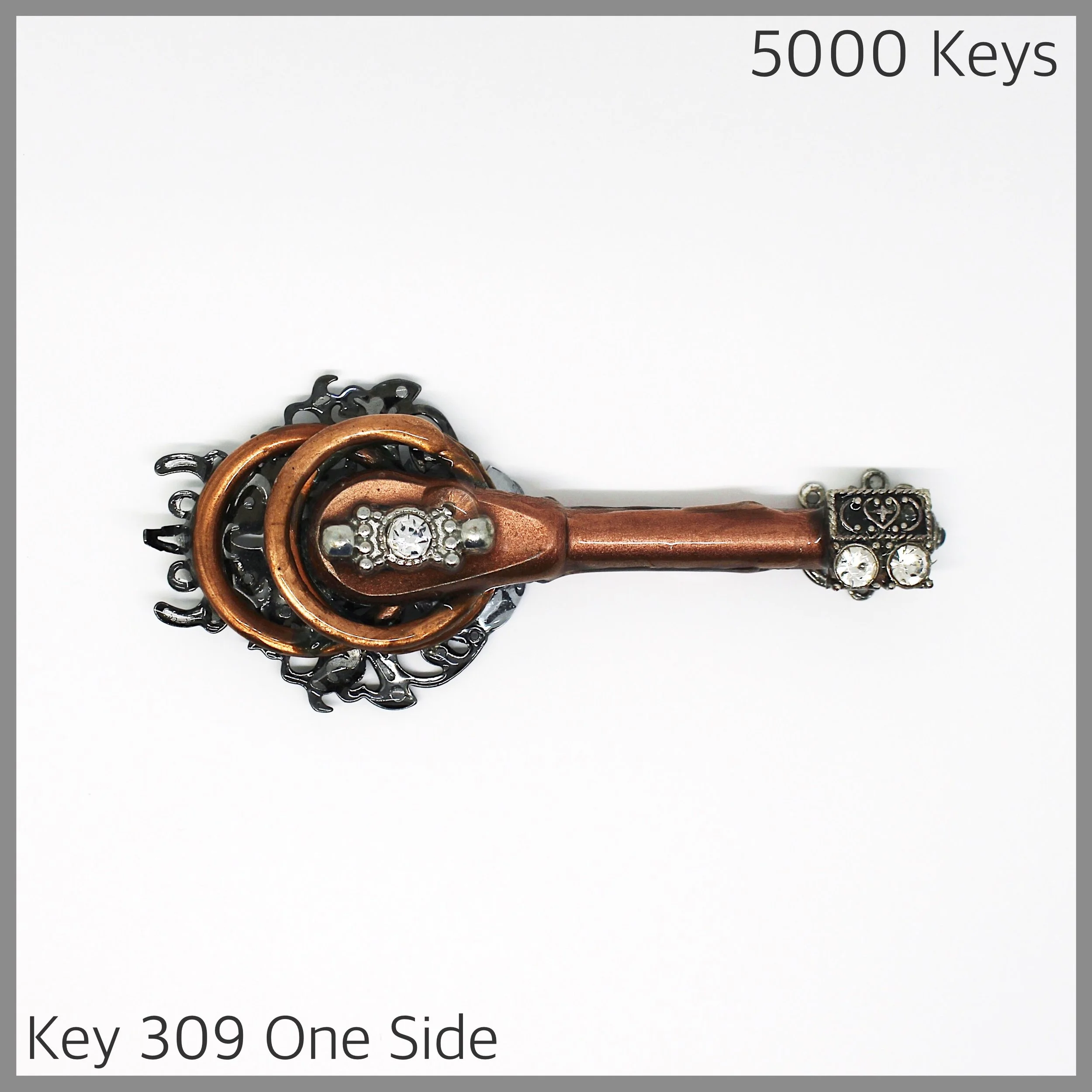 Key 309 one side - 1.JPG