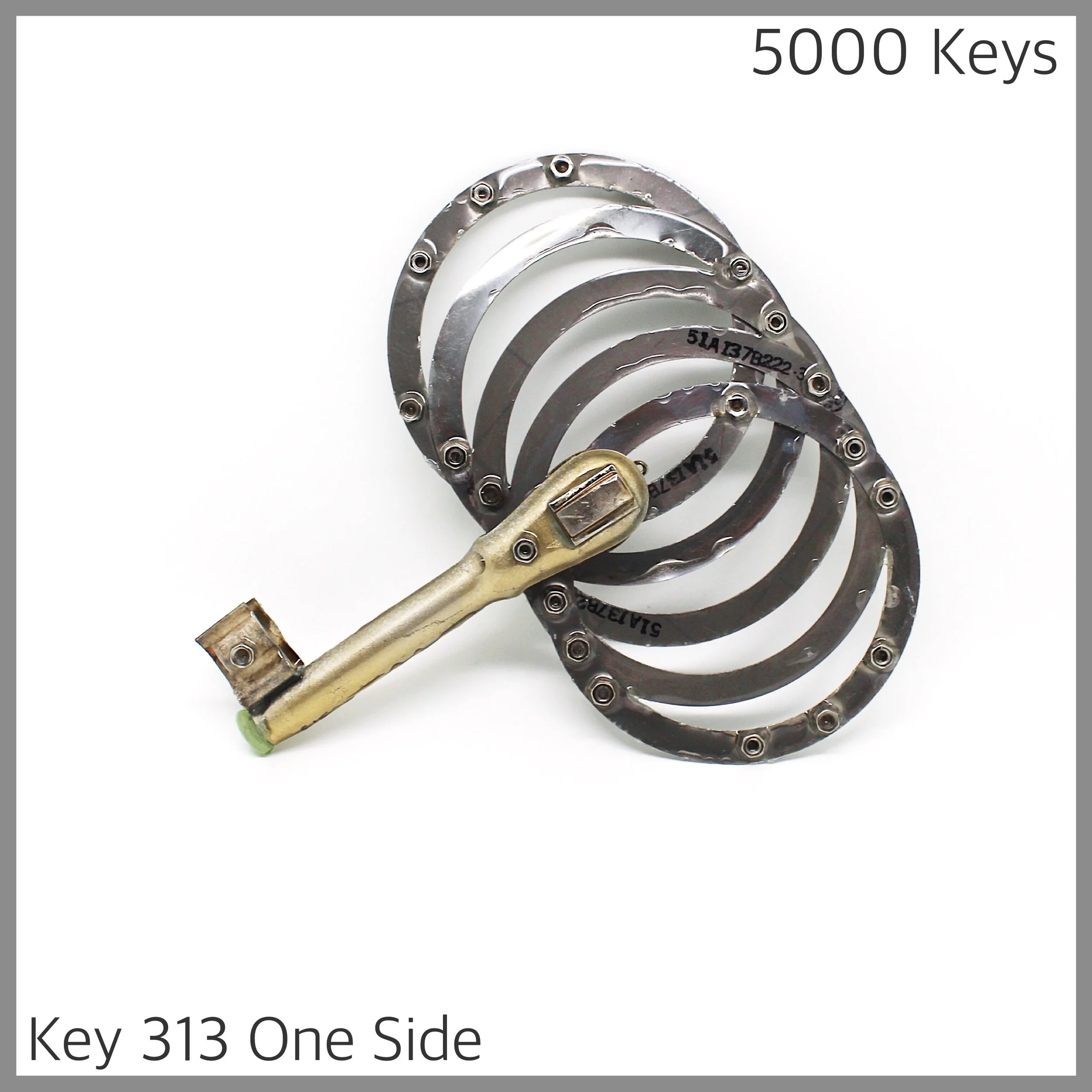 Key 313 one side - 1.JPG