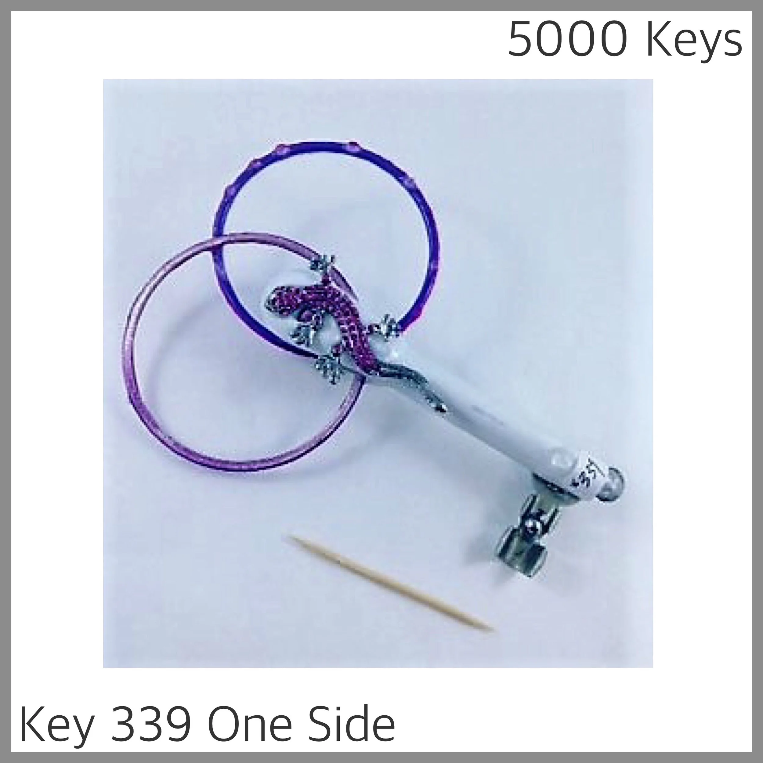 Key 339 one side - 1.JPG