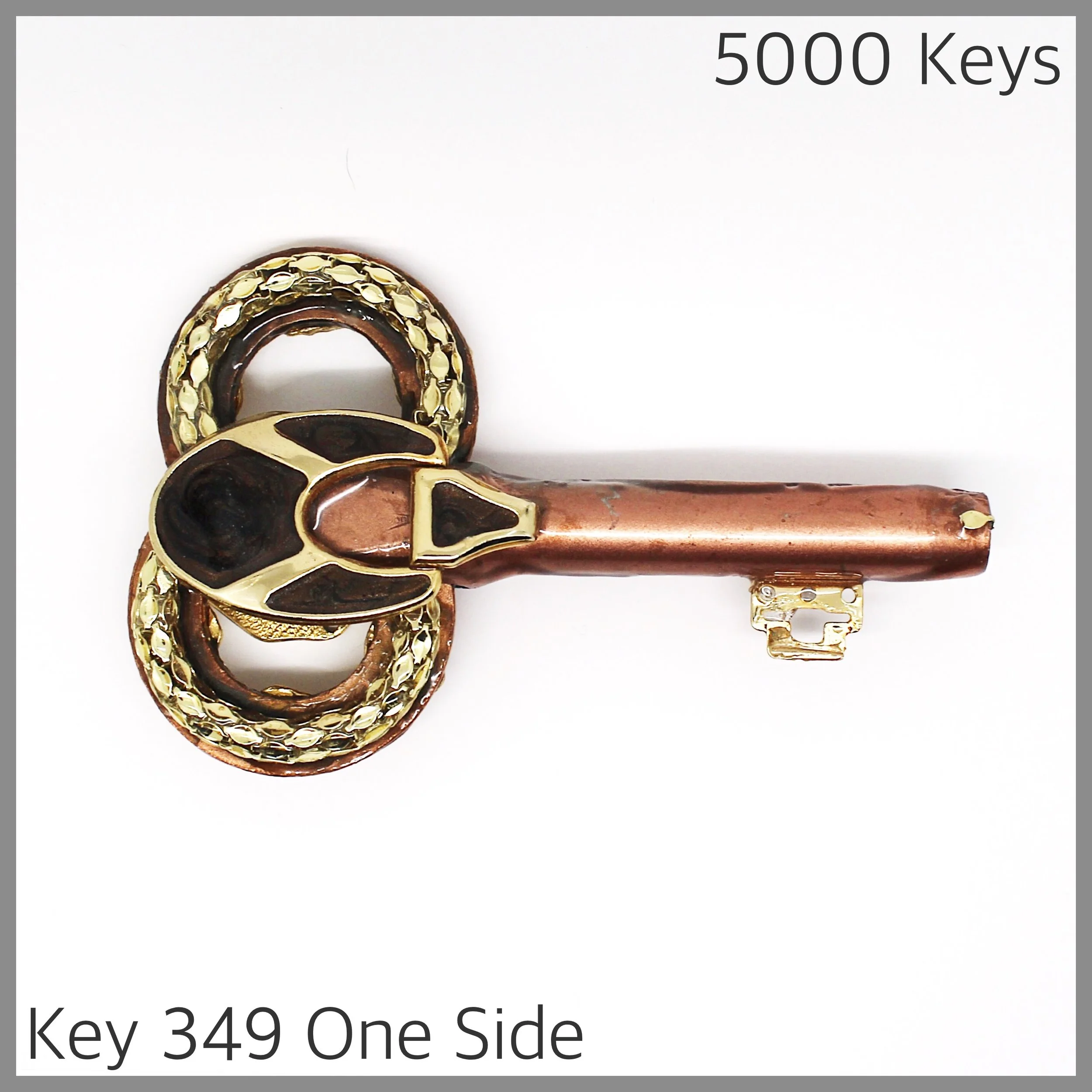 Key 349 one side - 1.JPG