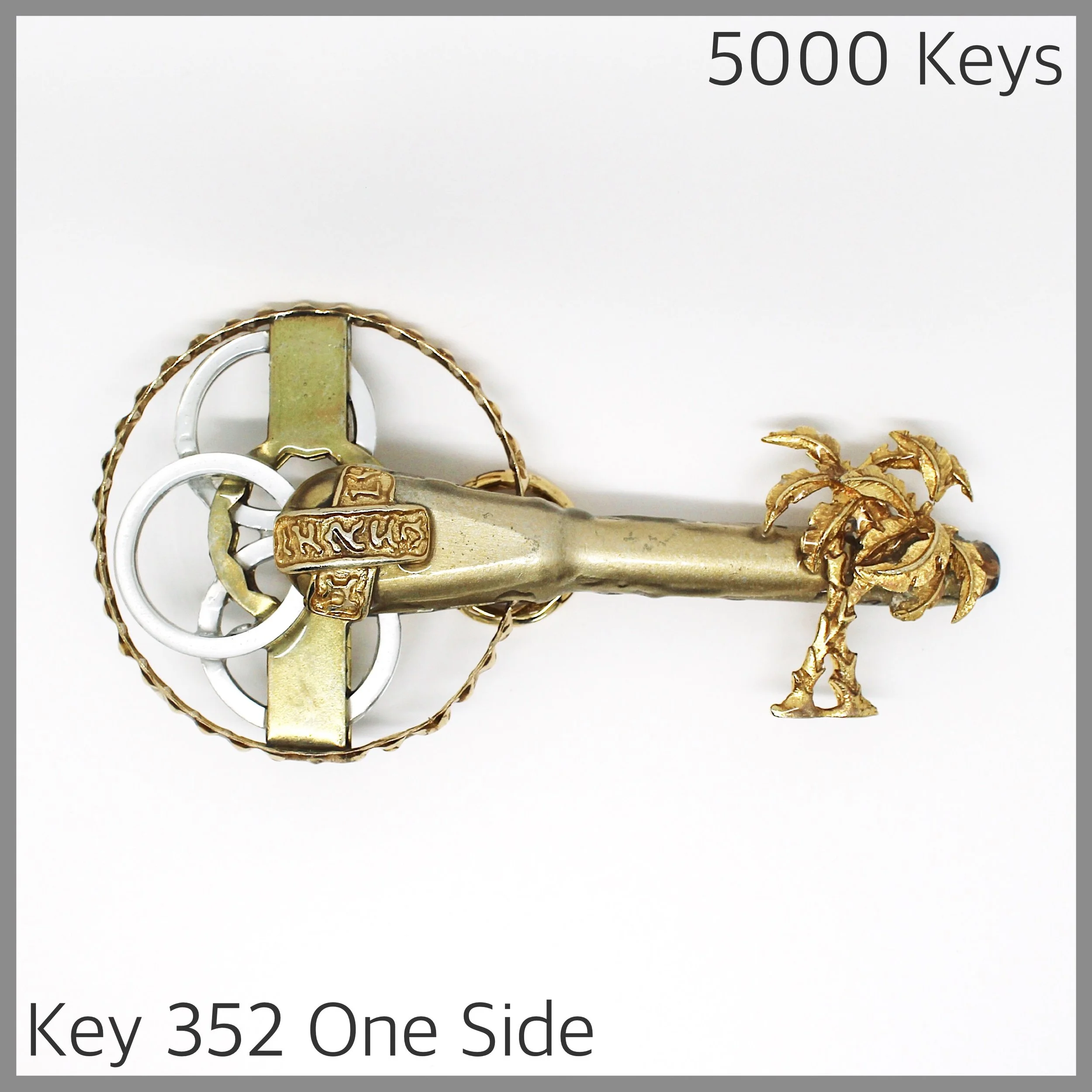 Key 352 one side - 1.JPG