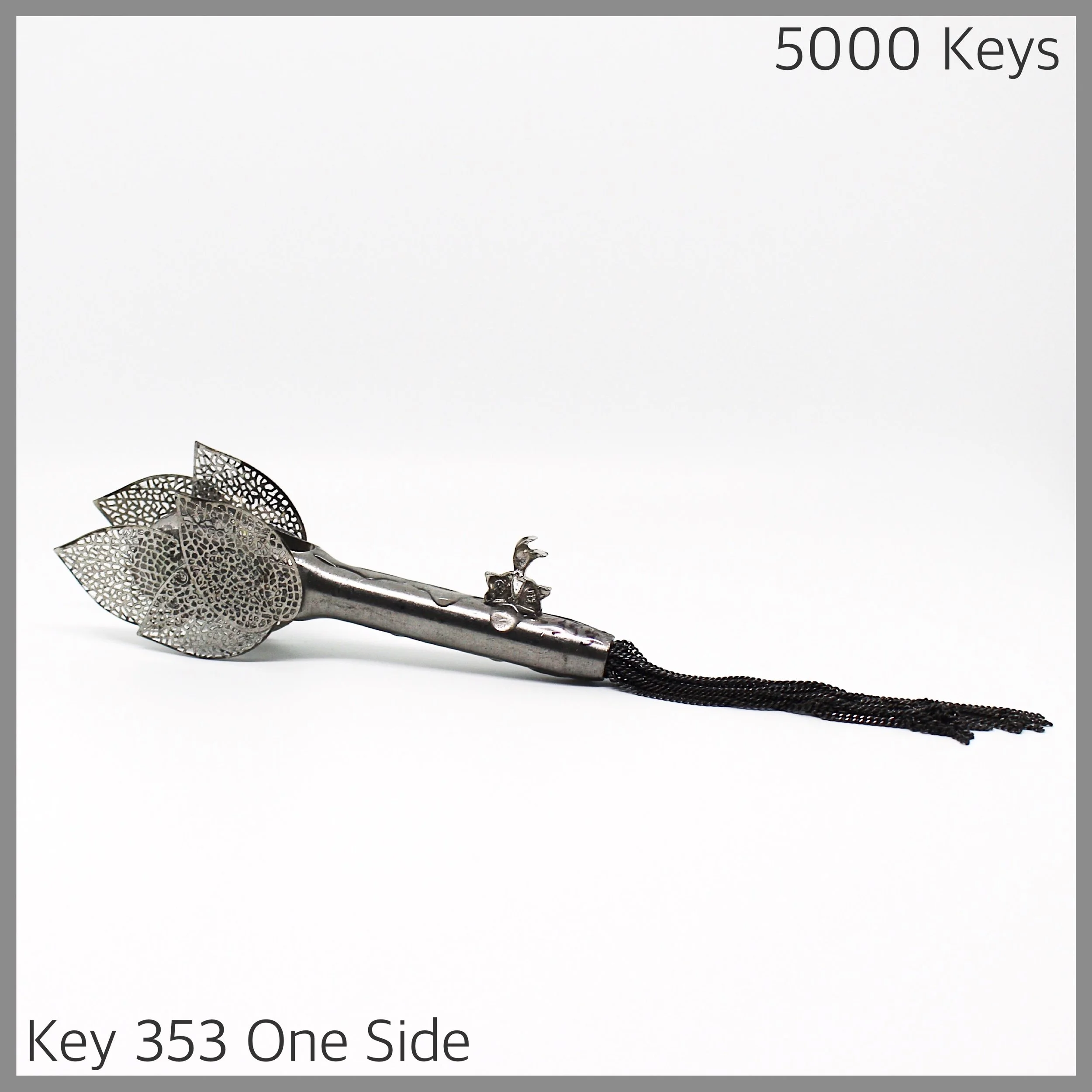 Key 353 one side - 1.JPG