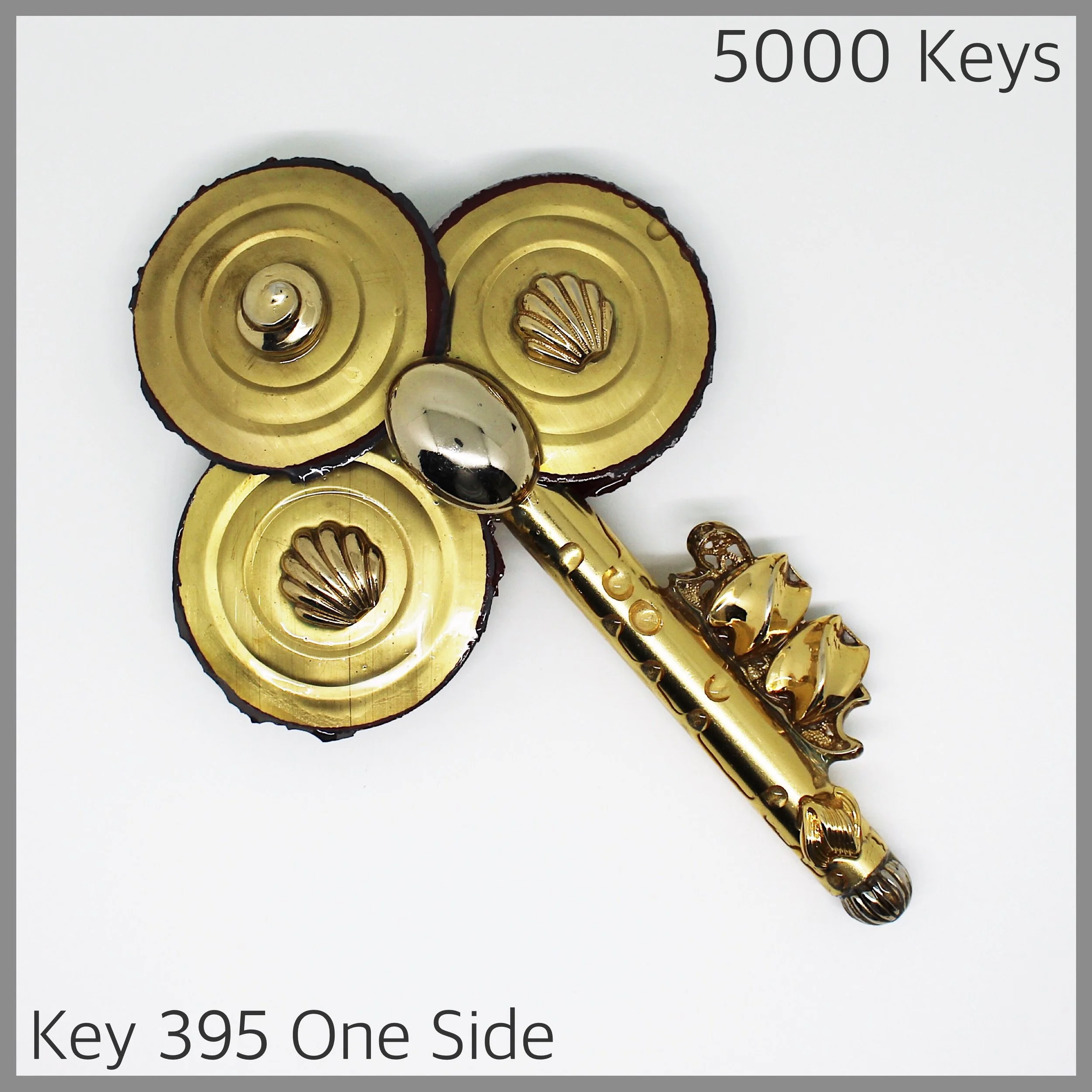 Key 395 one side - 1.JPG