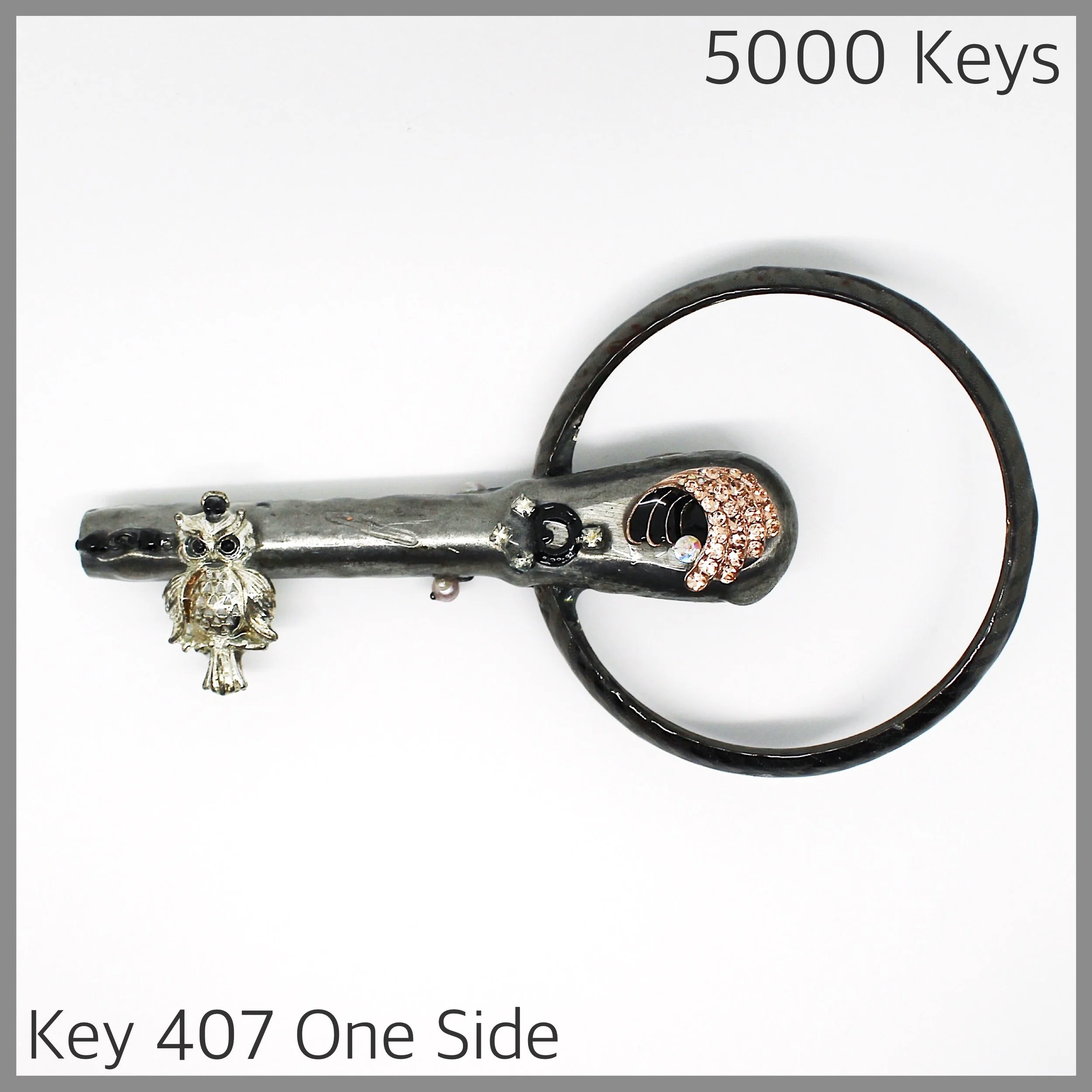 Key 407 one side - 1.JPG