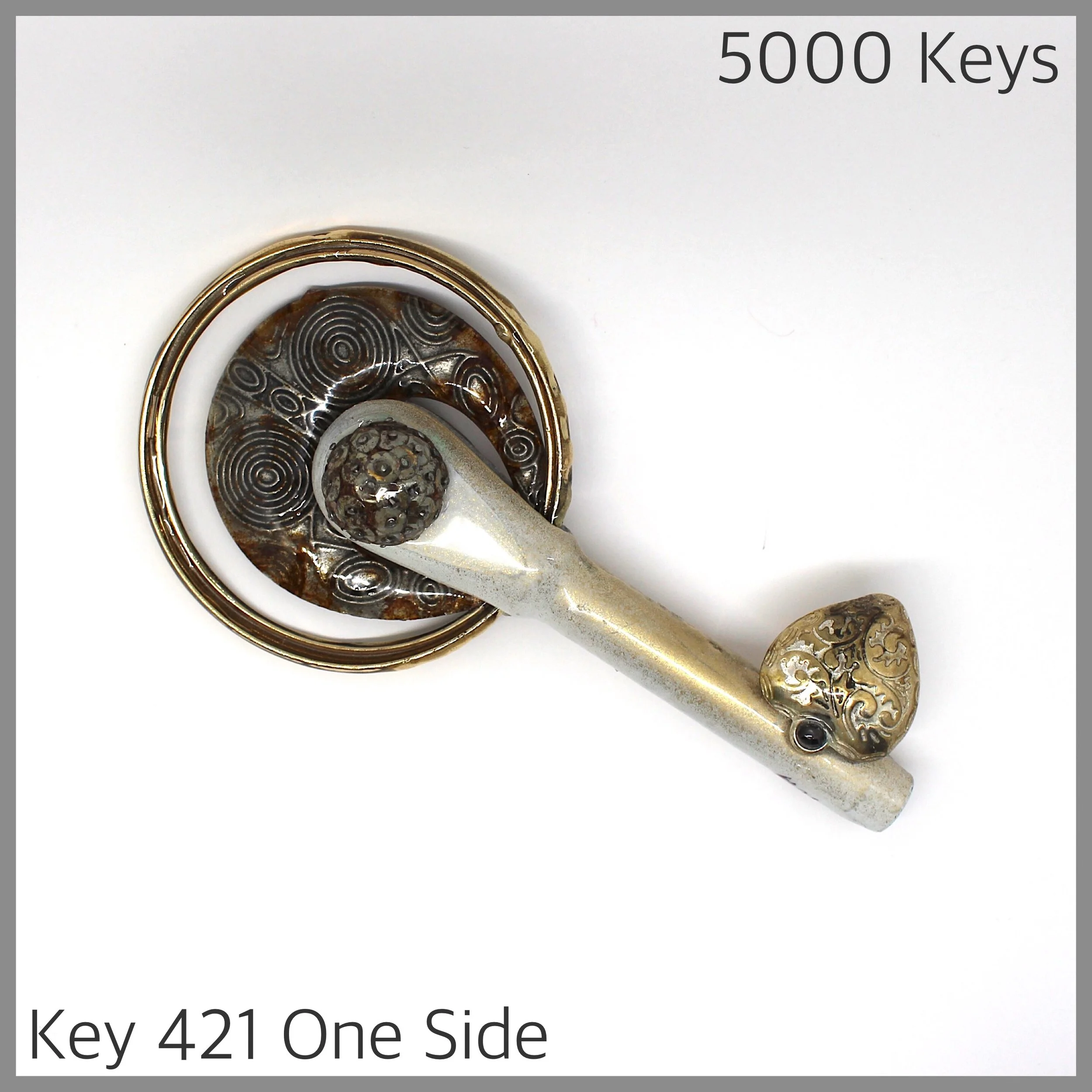 Key 421 one side - 1.JPG