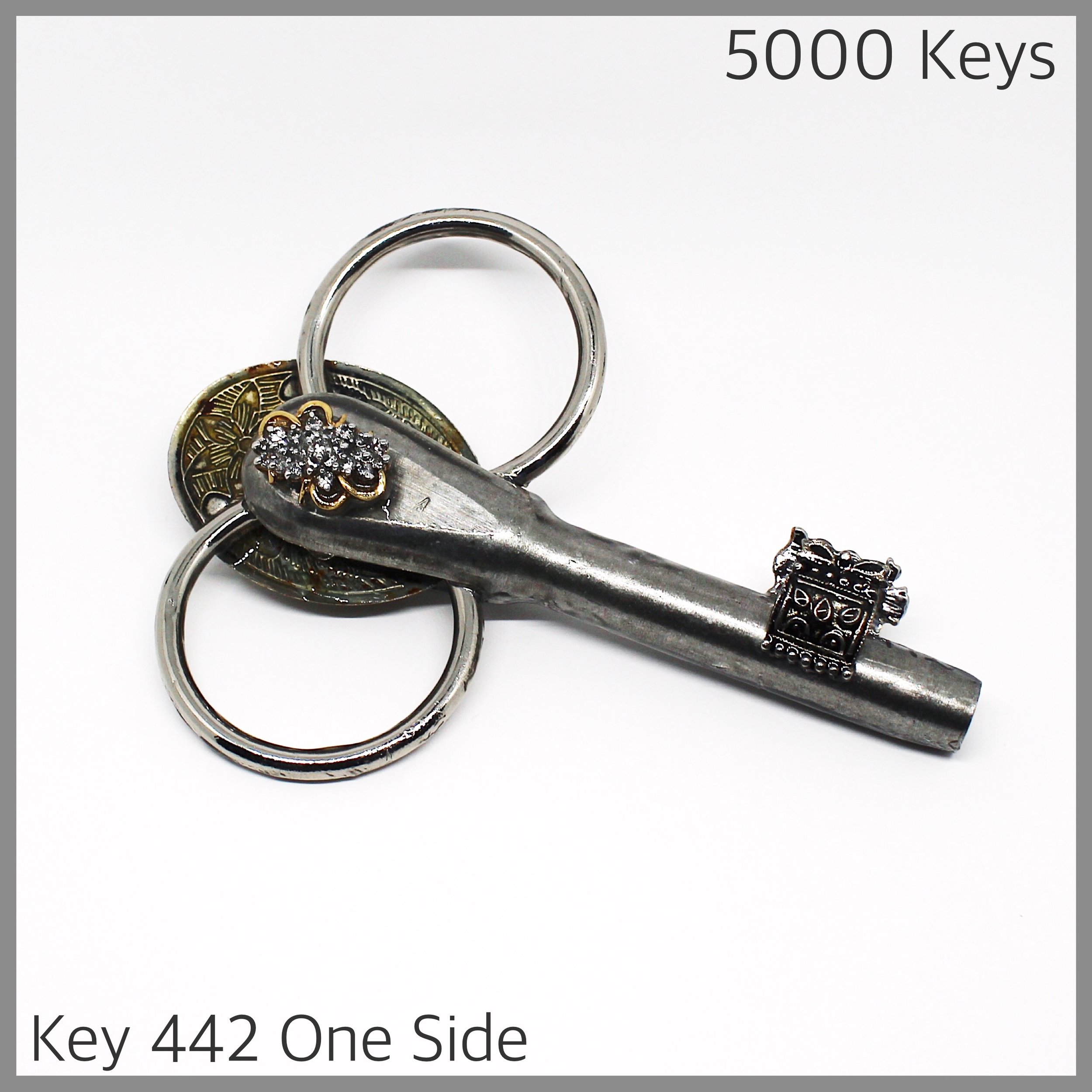 Key 442 one side - 1.JPG