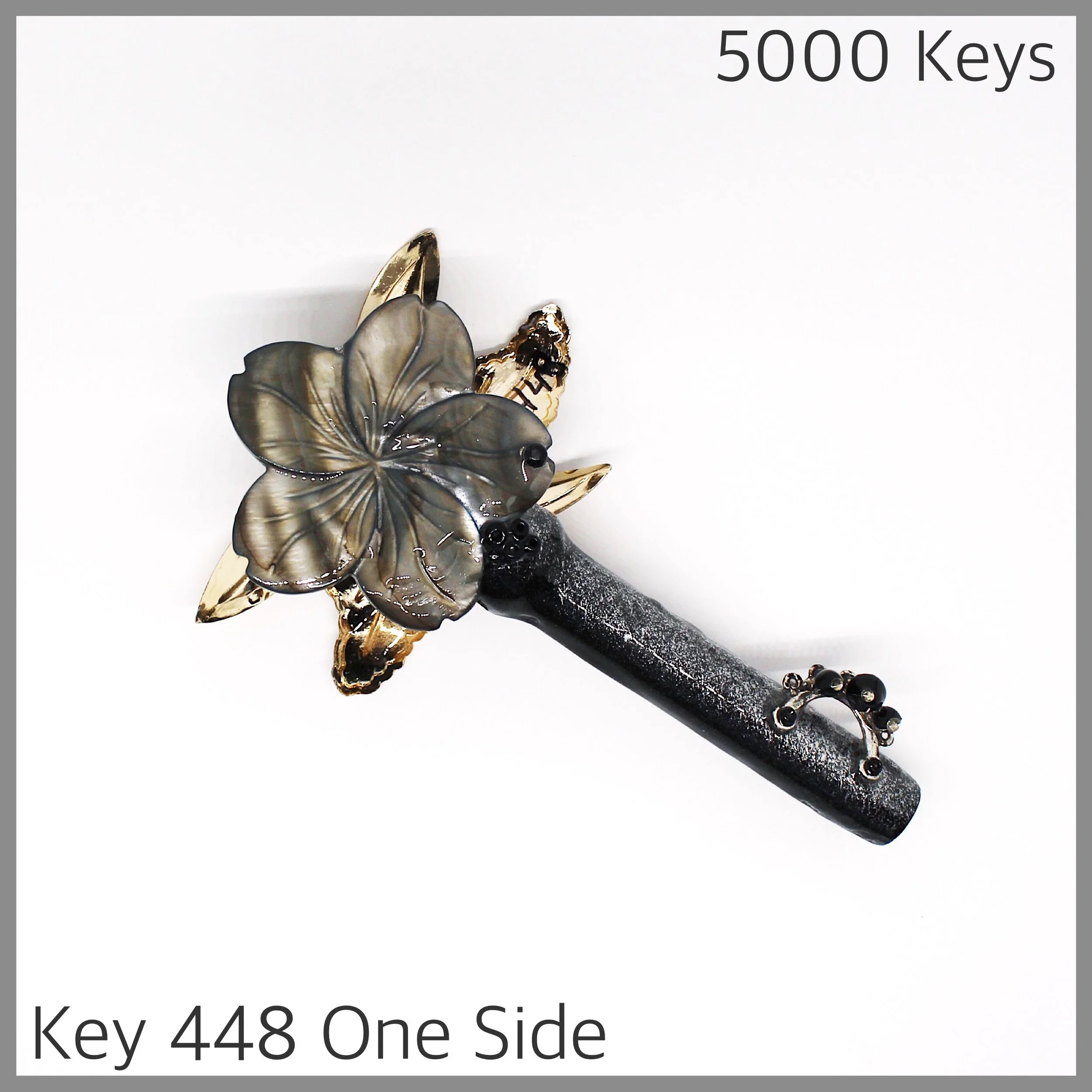 Key 448 one side - 1.JPG