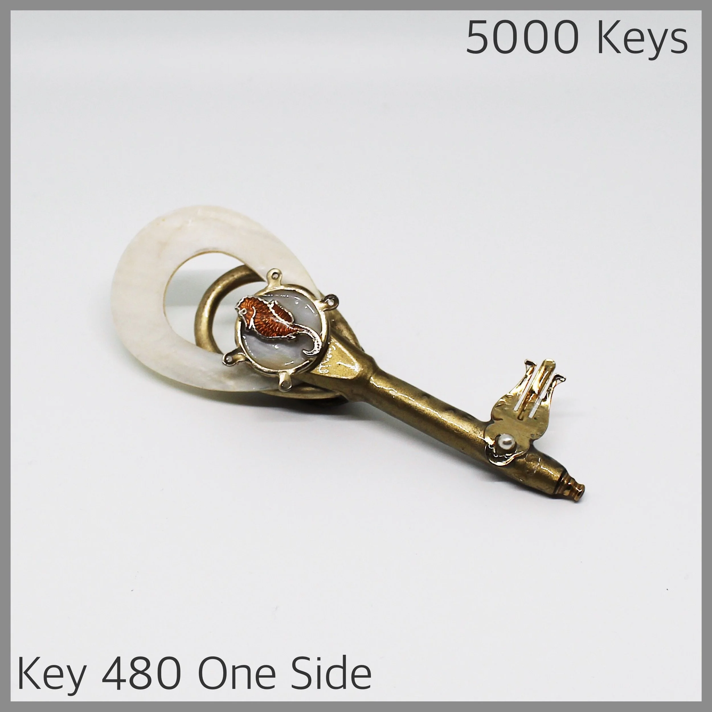 Key 480 one side - 1.JPG
