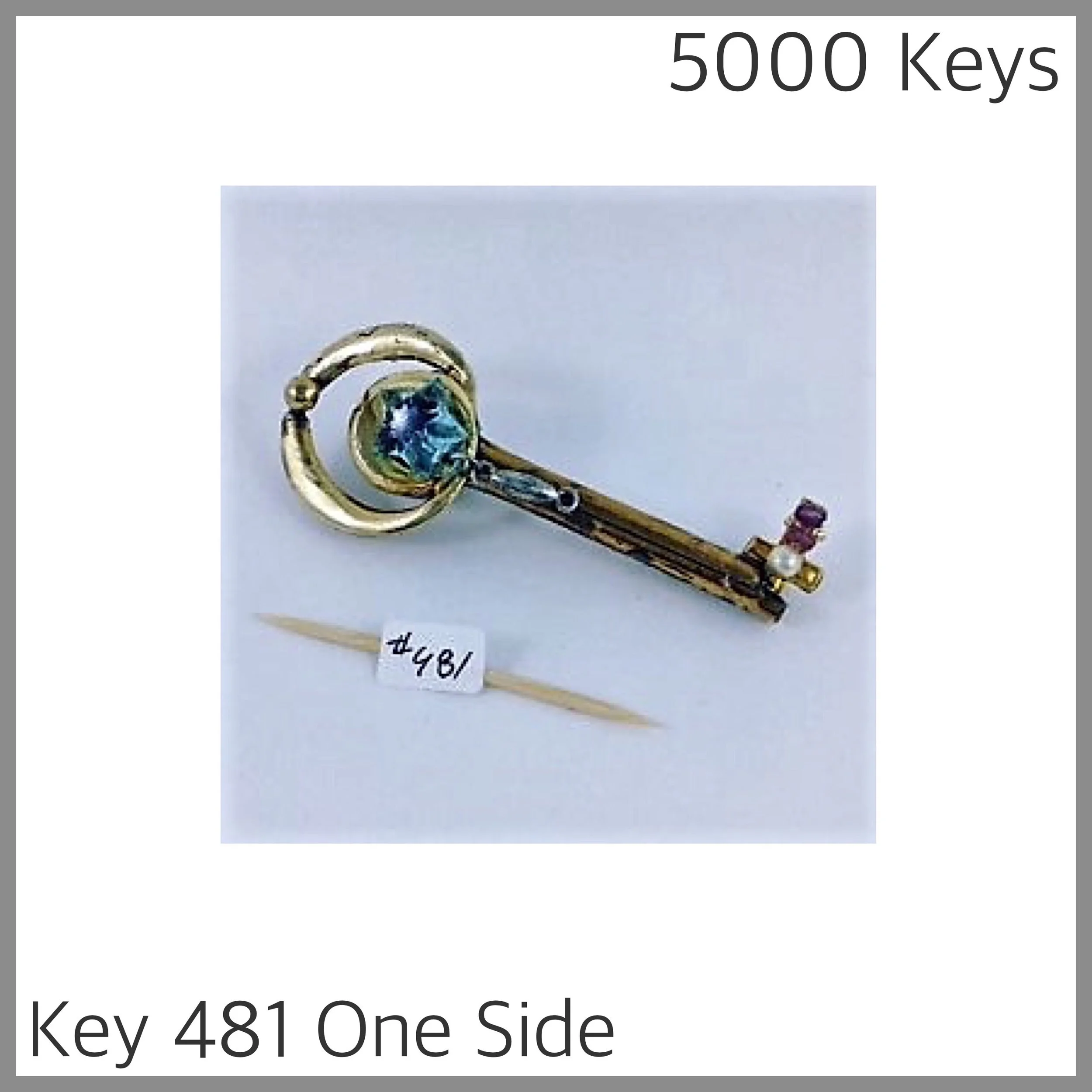 Key 481 one side - 1.JPG