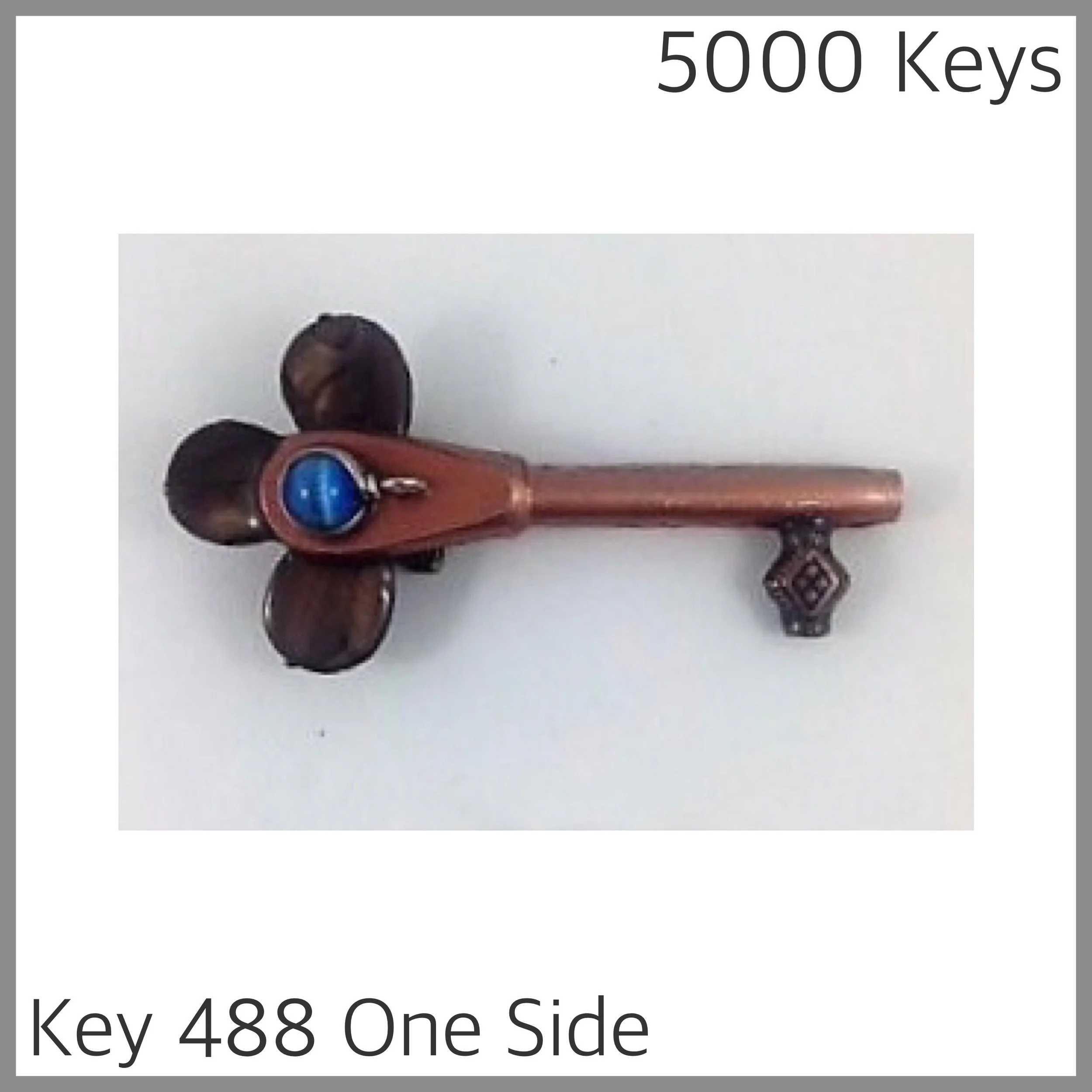 Key 488 one side - 1.JPG