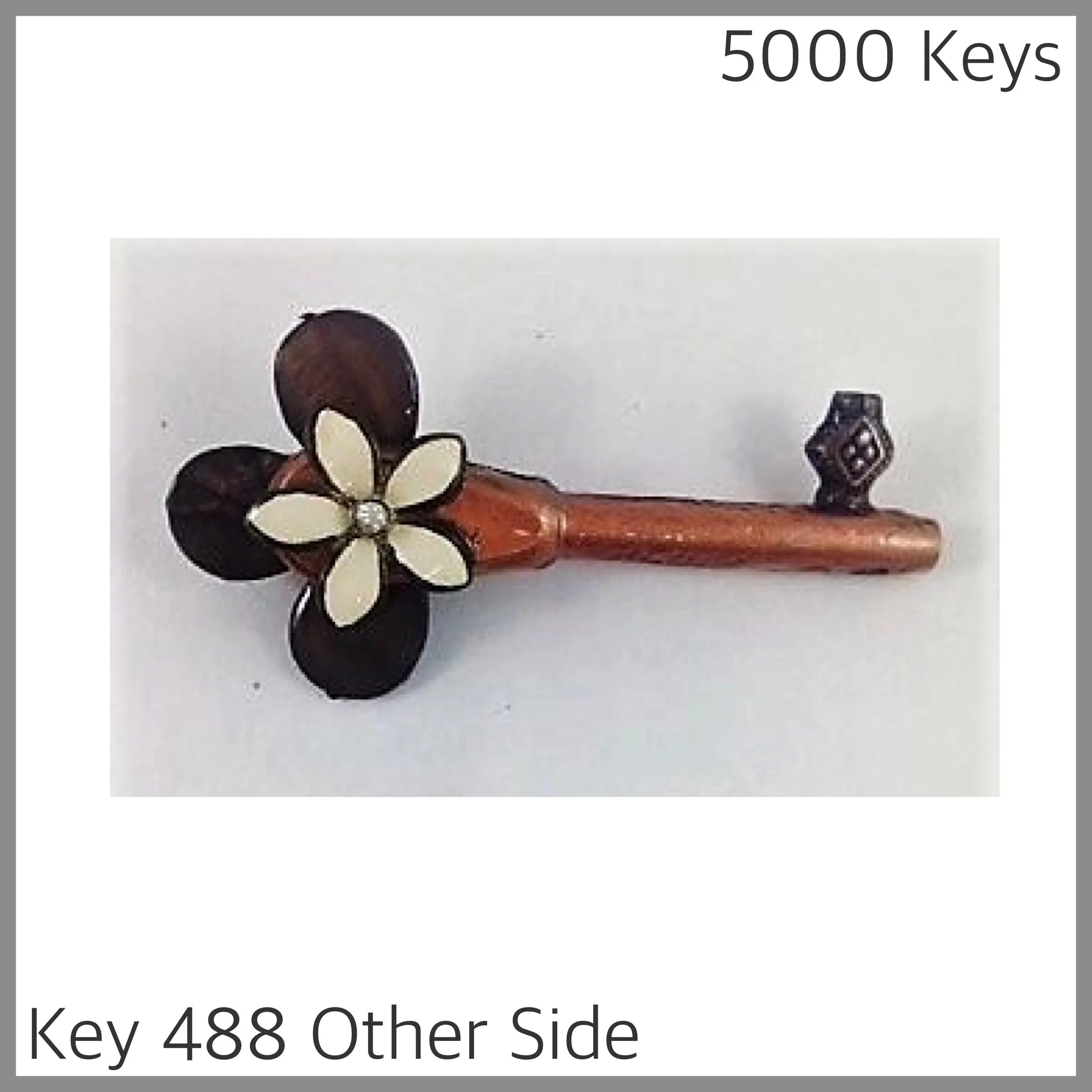 Key 488 other side - 1.JPG