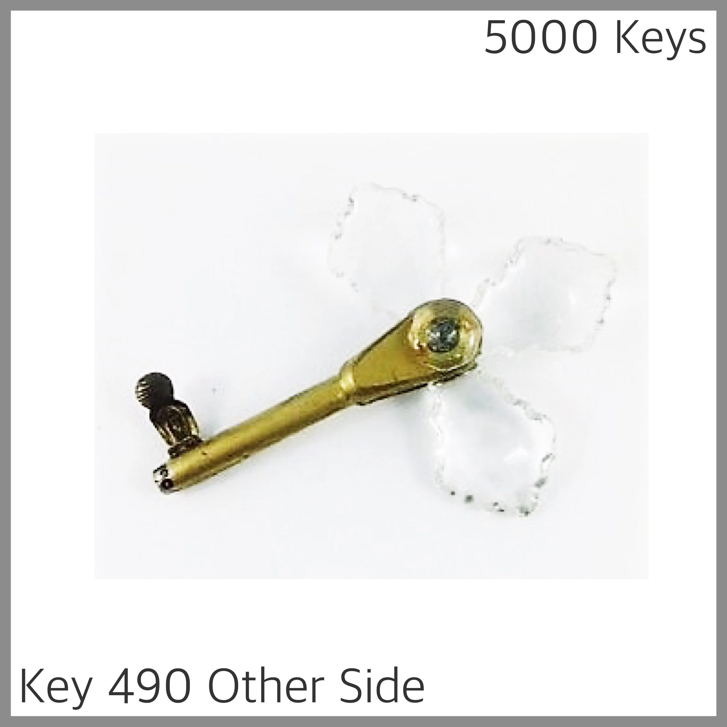 Key 490 other side - 1.JPG