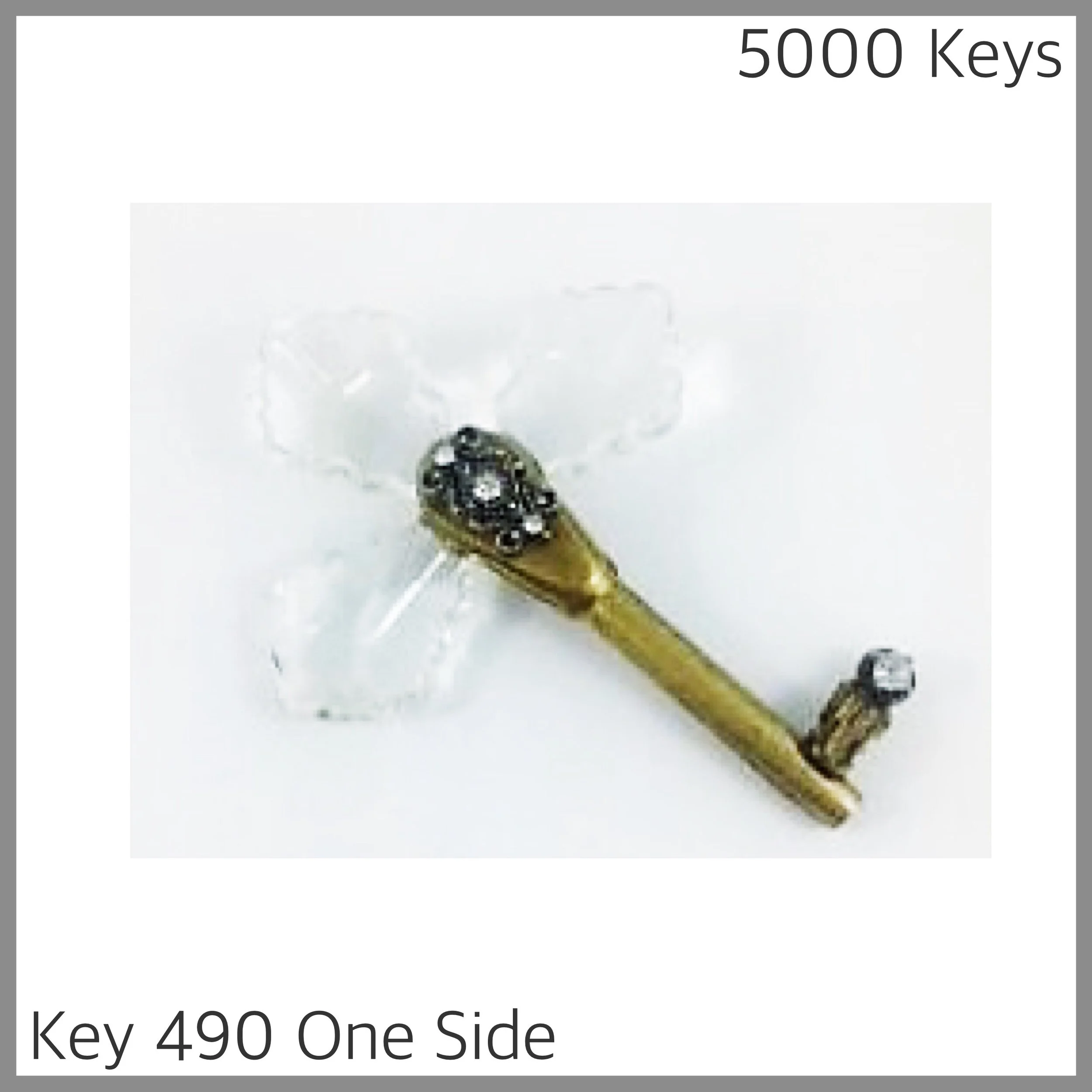 Key 490 one side - 1.JPG