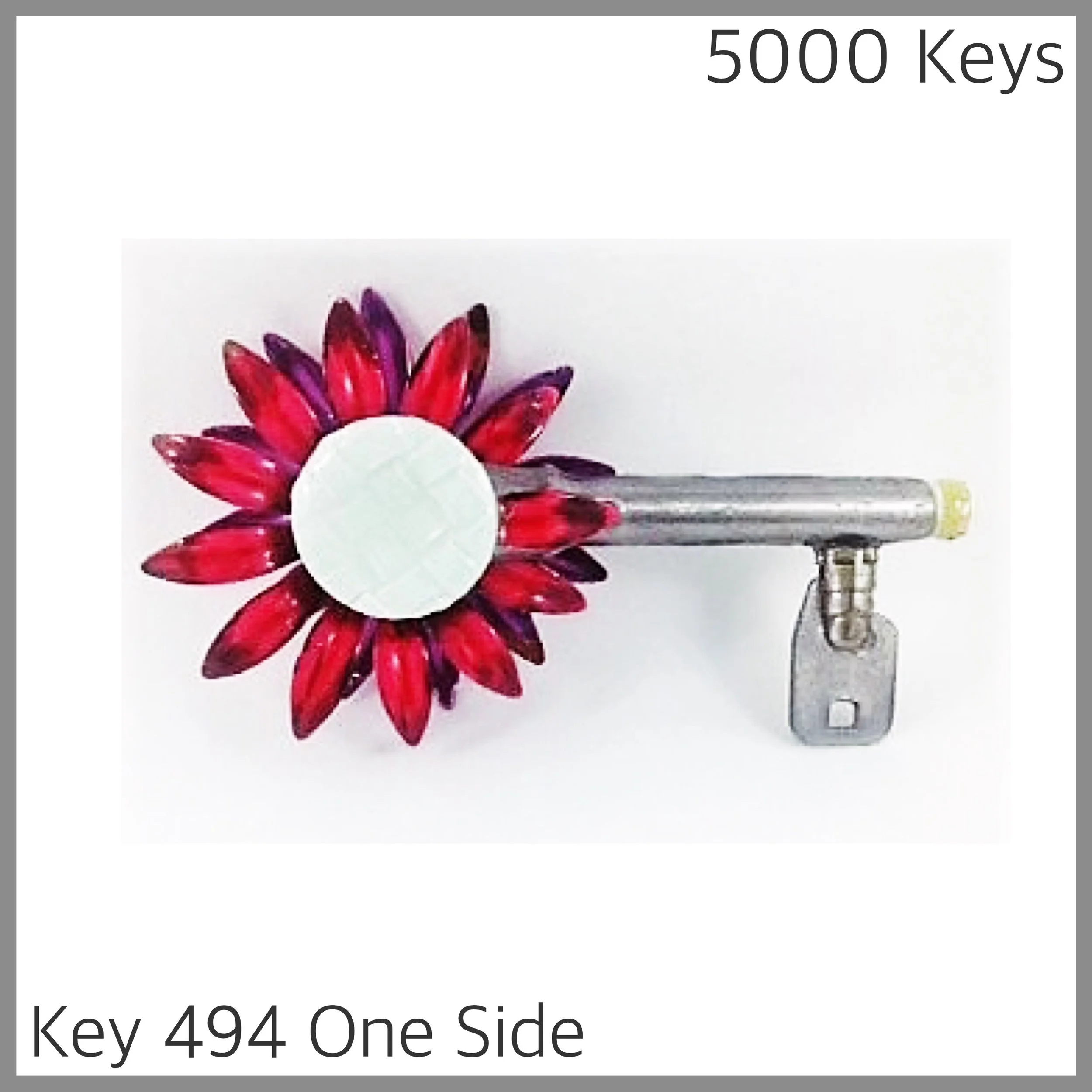 Key 494 one side - 1.JPG