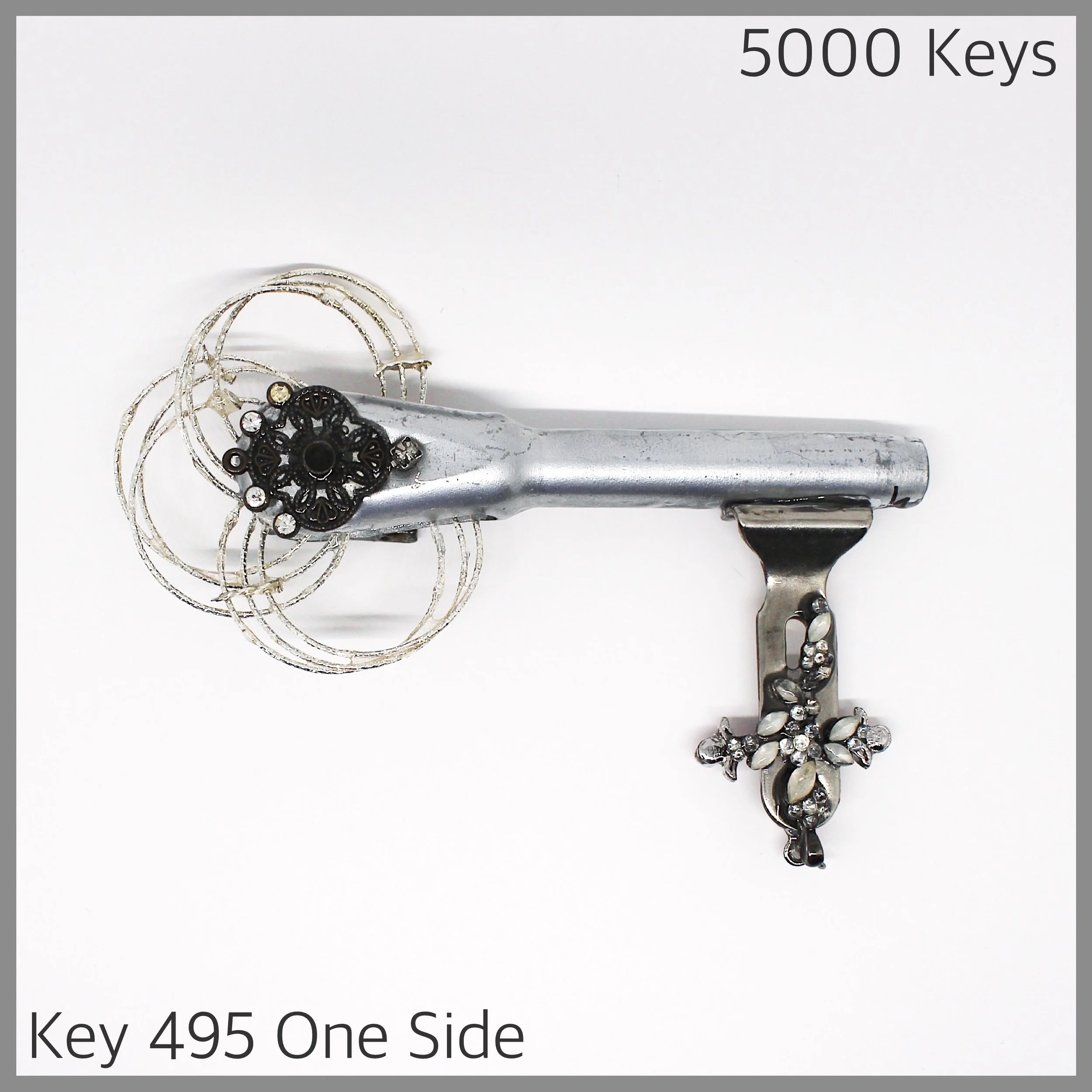 Key 495 one side - 1.JPG