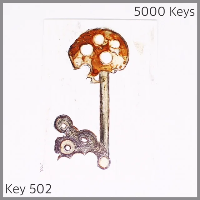 Key 502 - 1.JPG