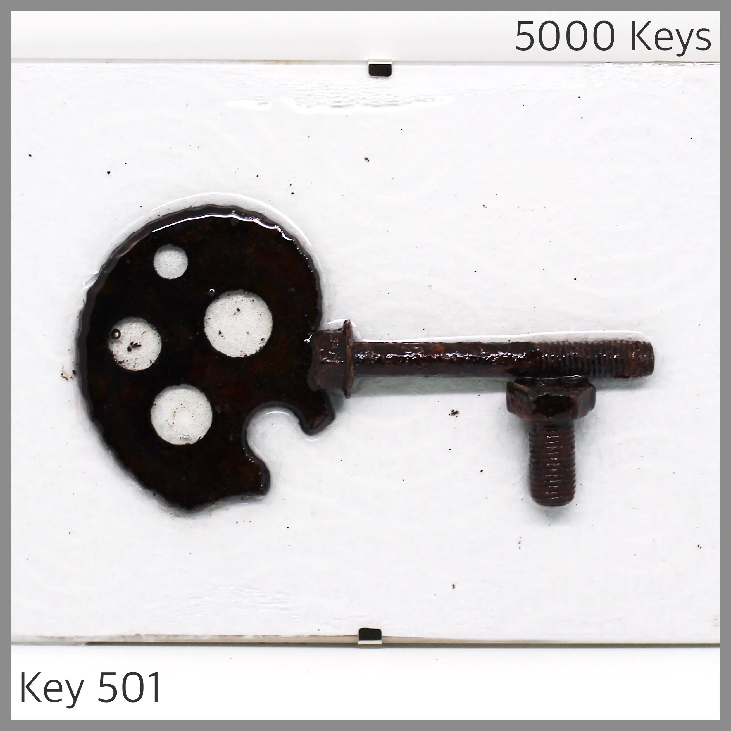 Key 501.JPG