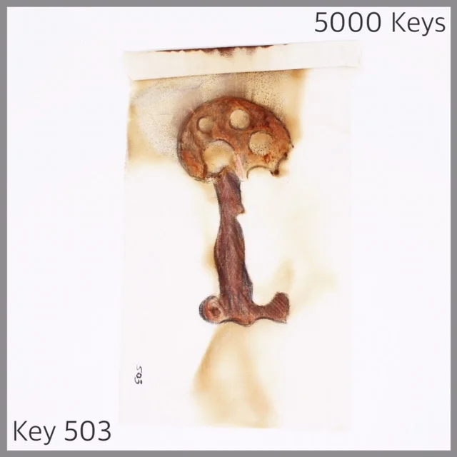 Key 503 - 1.JPG