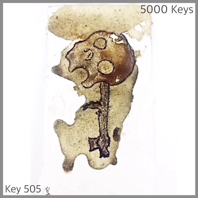 Key 505 - 1.JPG