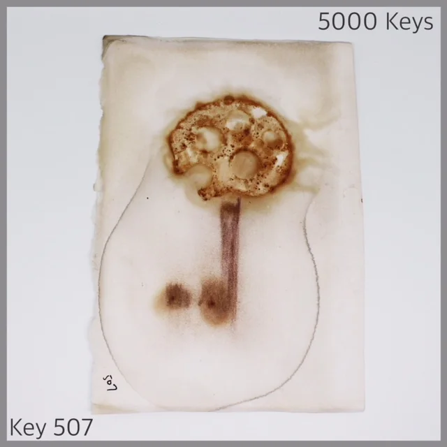 Key 507 - 1.JPG