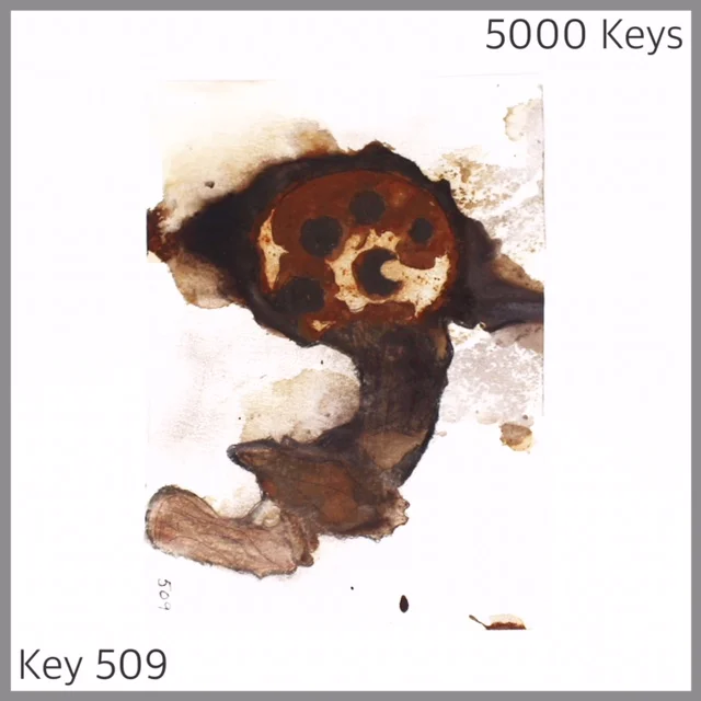 Key 509 - 1.JPG