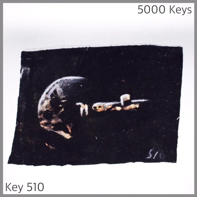Key 510 - 1.JPG