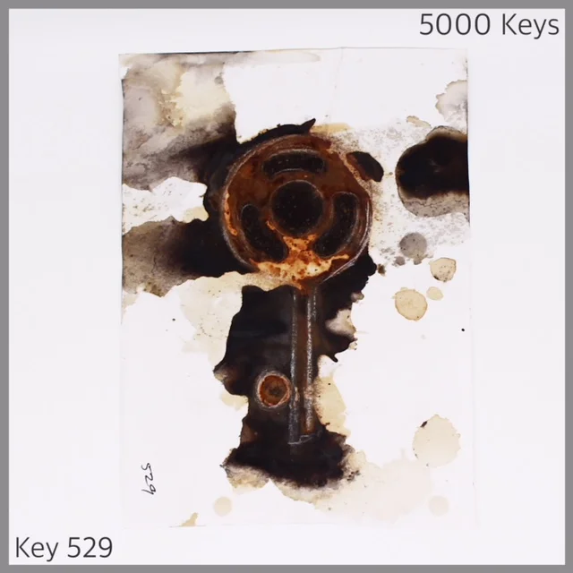 Key 529 - 1.JPG