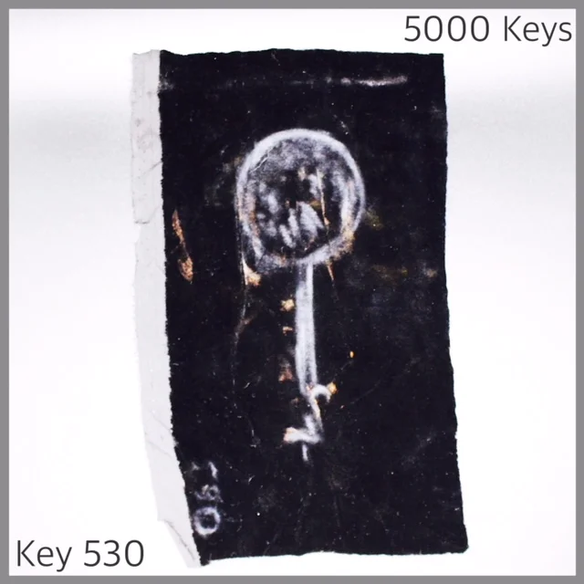Key 530 - 1.JPG