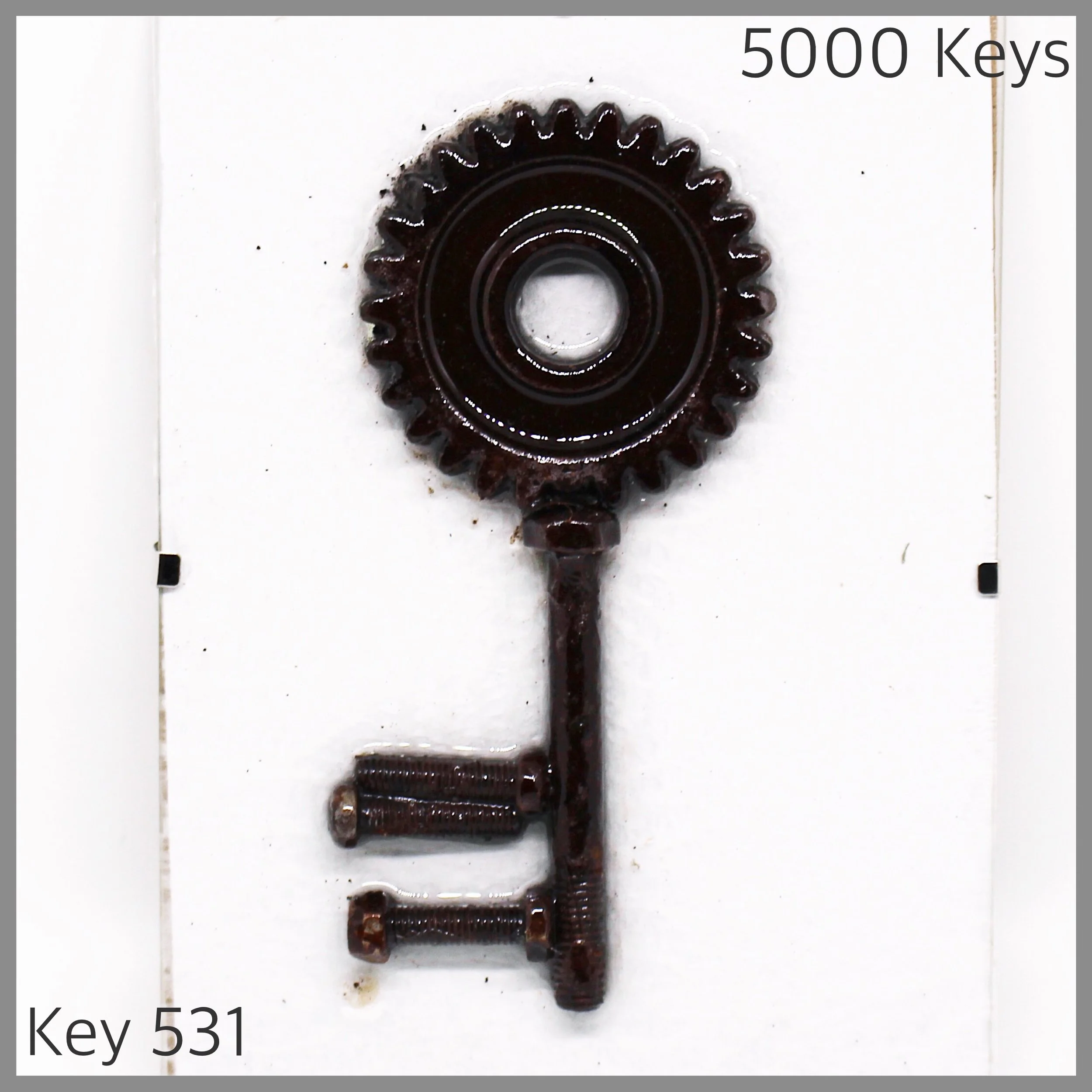 Key 531.JPG