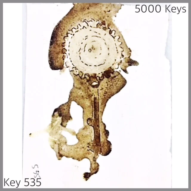 Key 535 - 1.JPG