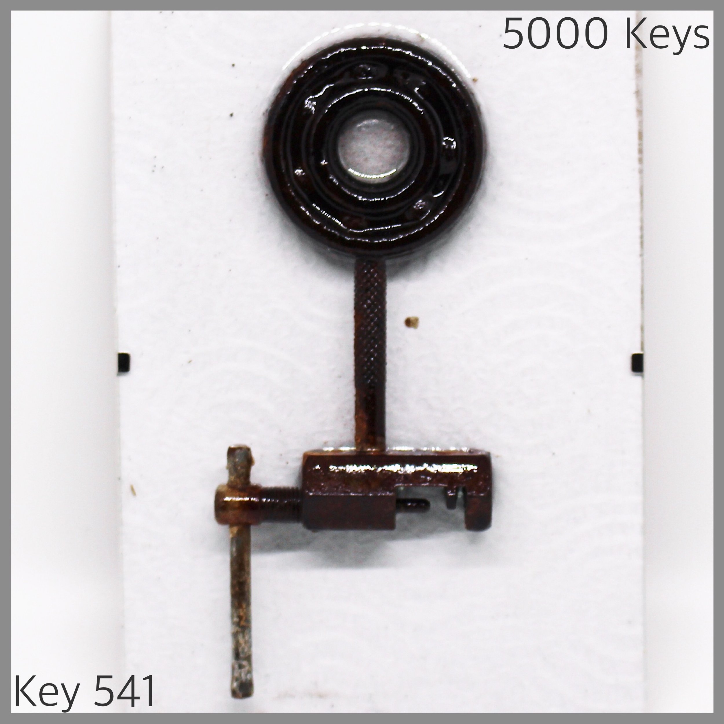 Key 541.JPG