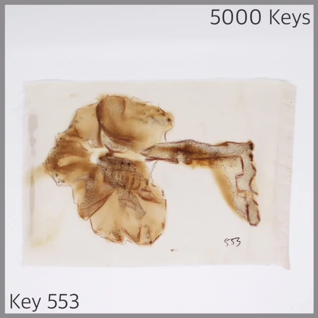 Key 553 - 1.JPG