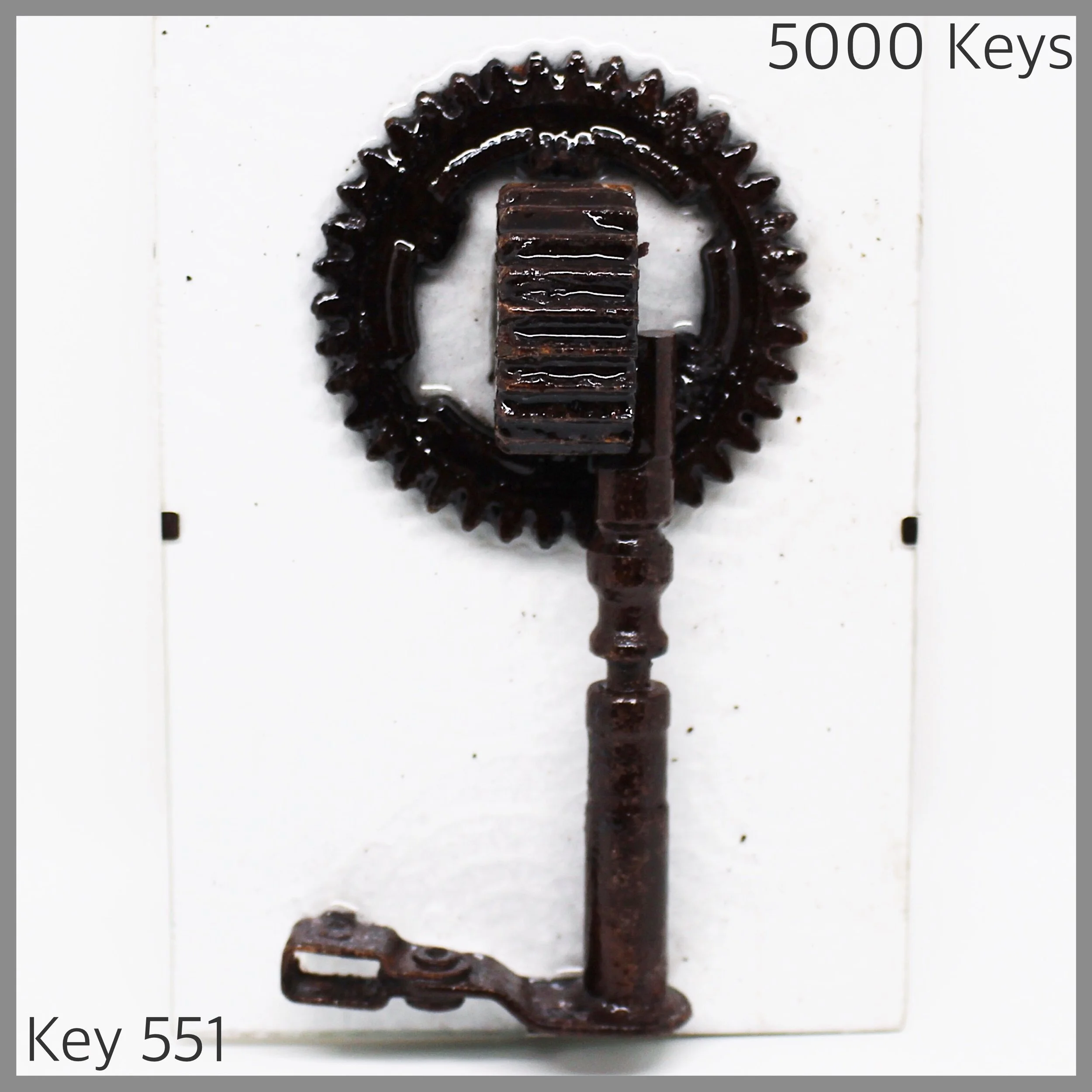 Key 551.JPG
