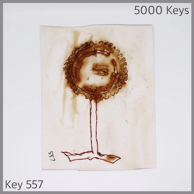Key 557 - 1.JPG