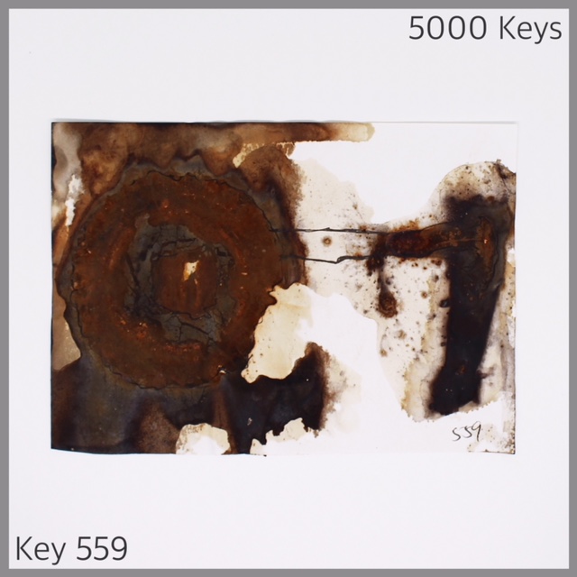 Key 559 - 1.JPG
