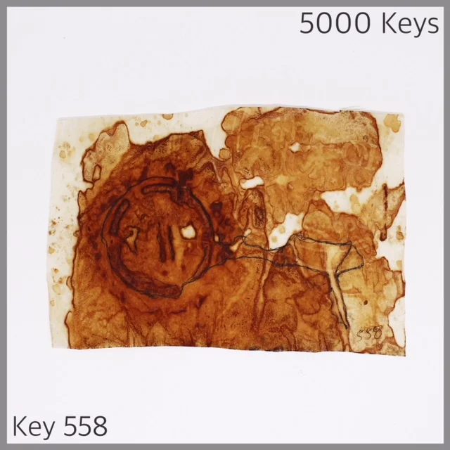 Key 558 - 1.JPG