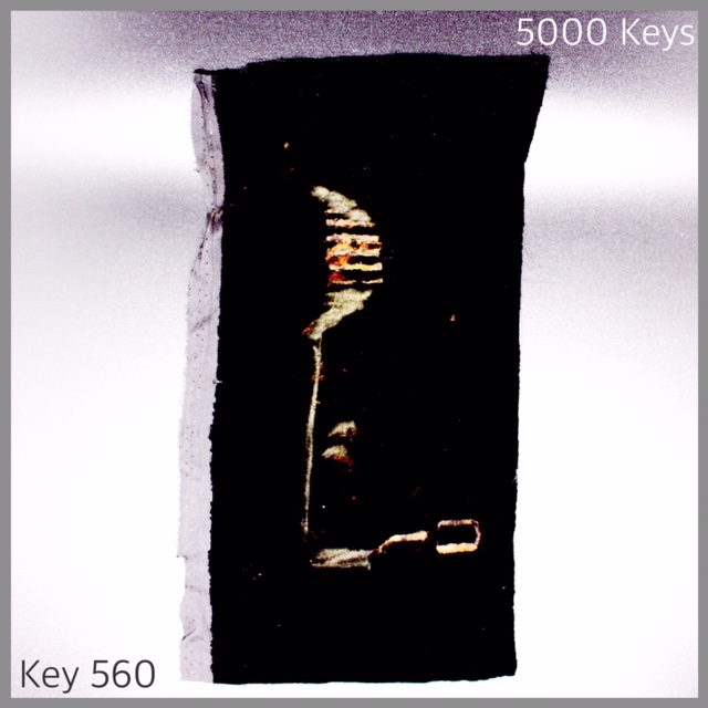 Key 560 - 1.JPG