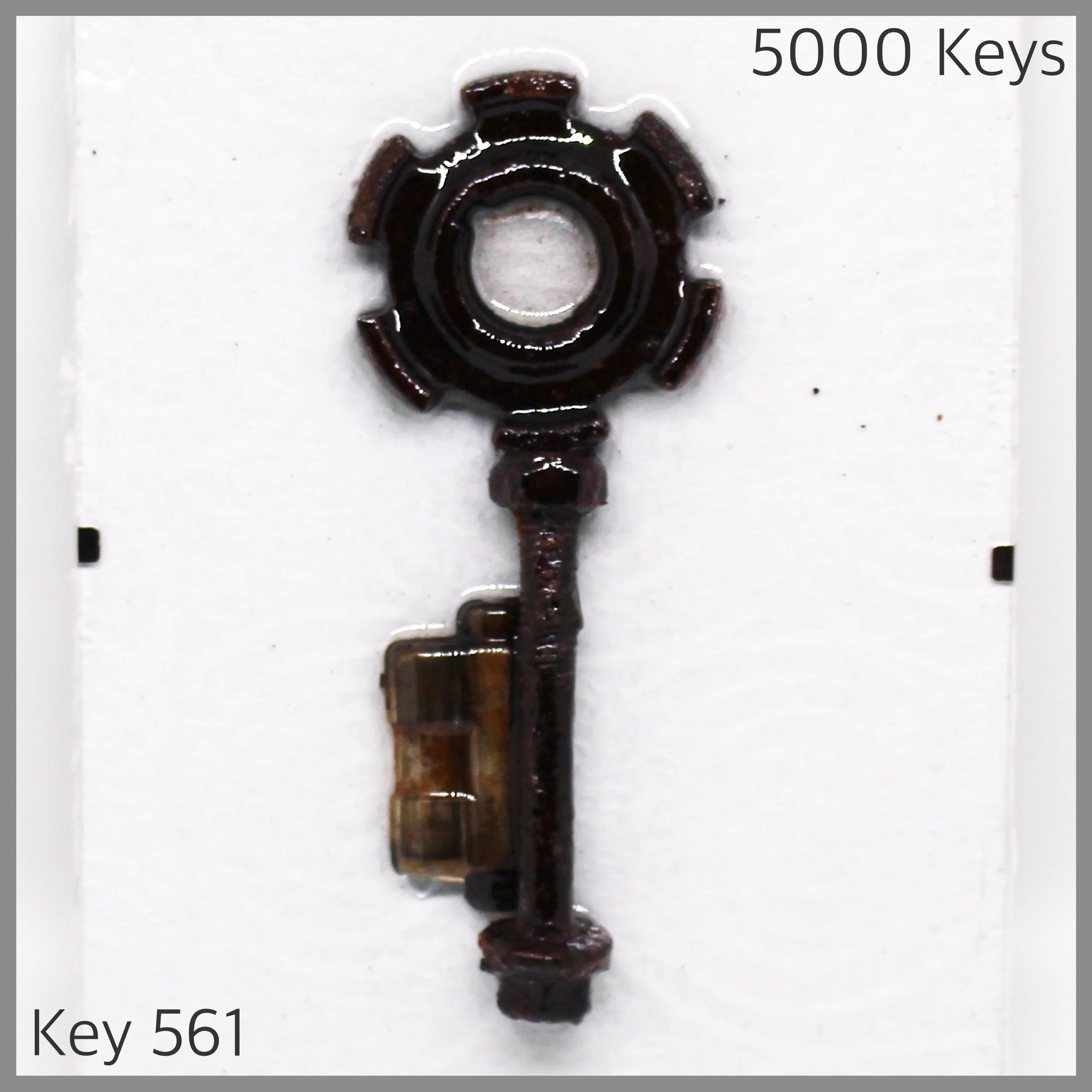 Key 561.JPG