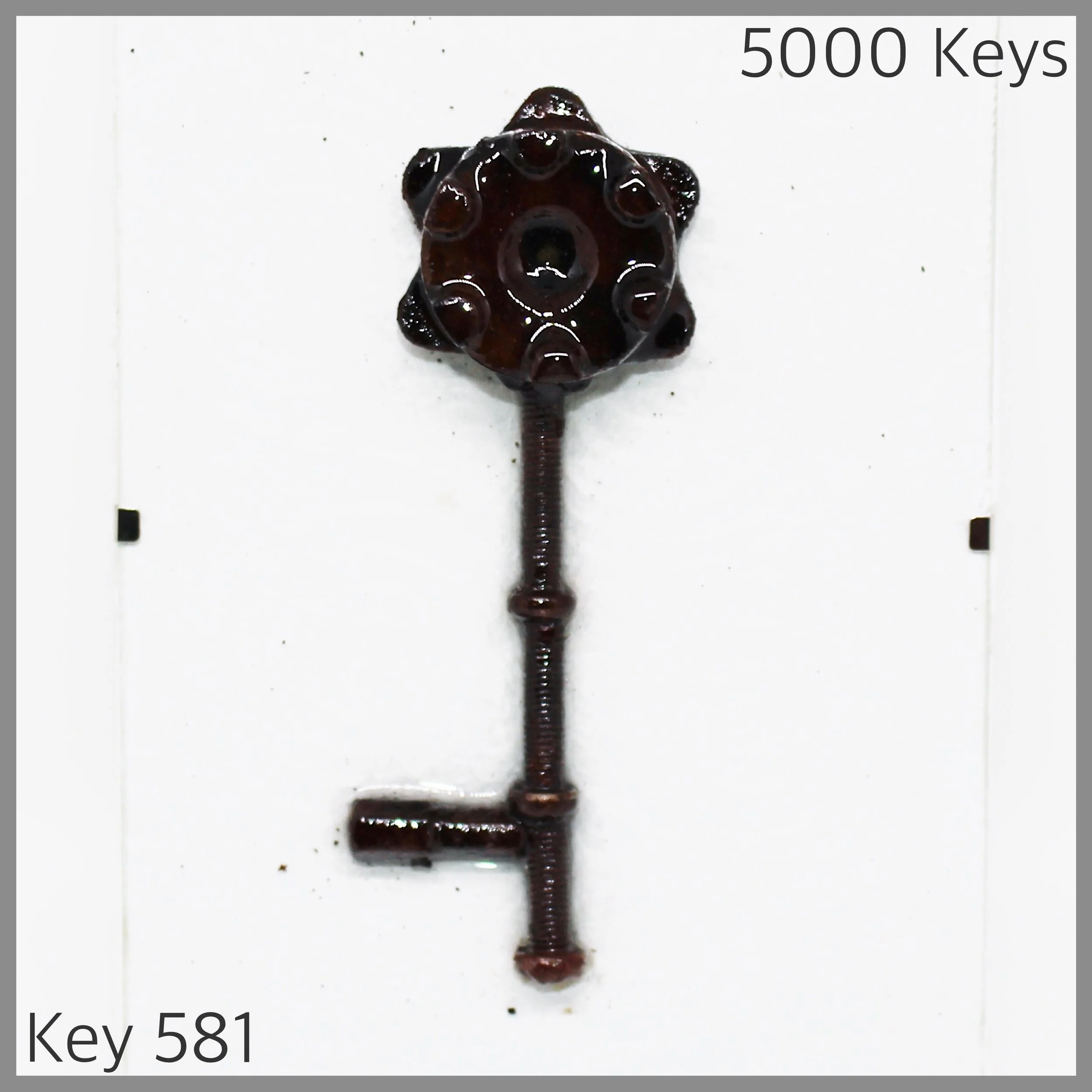 Key 581.JPG