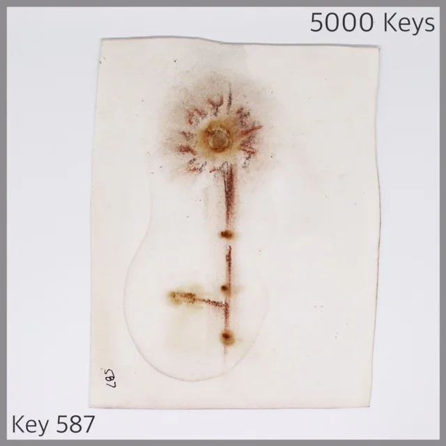 Key 587 - 1.JPG