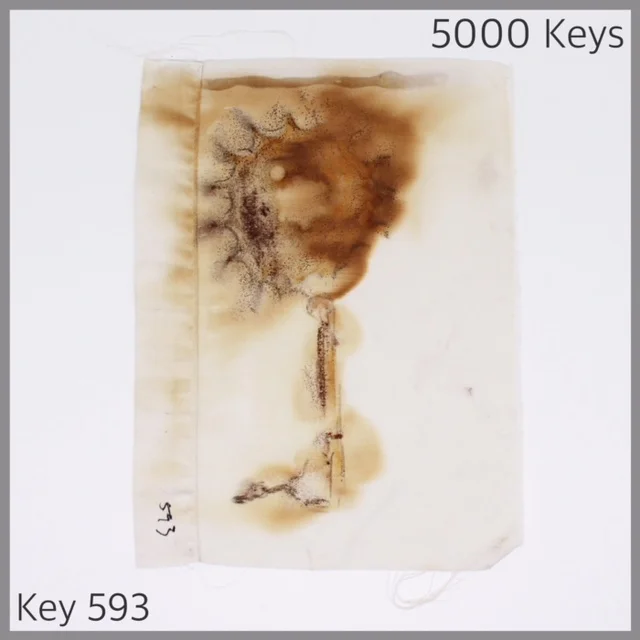 Key 593 - 1.JPG