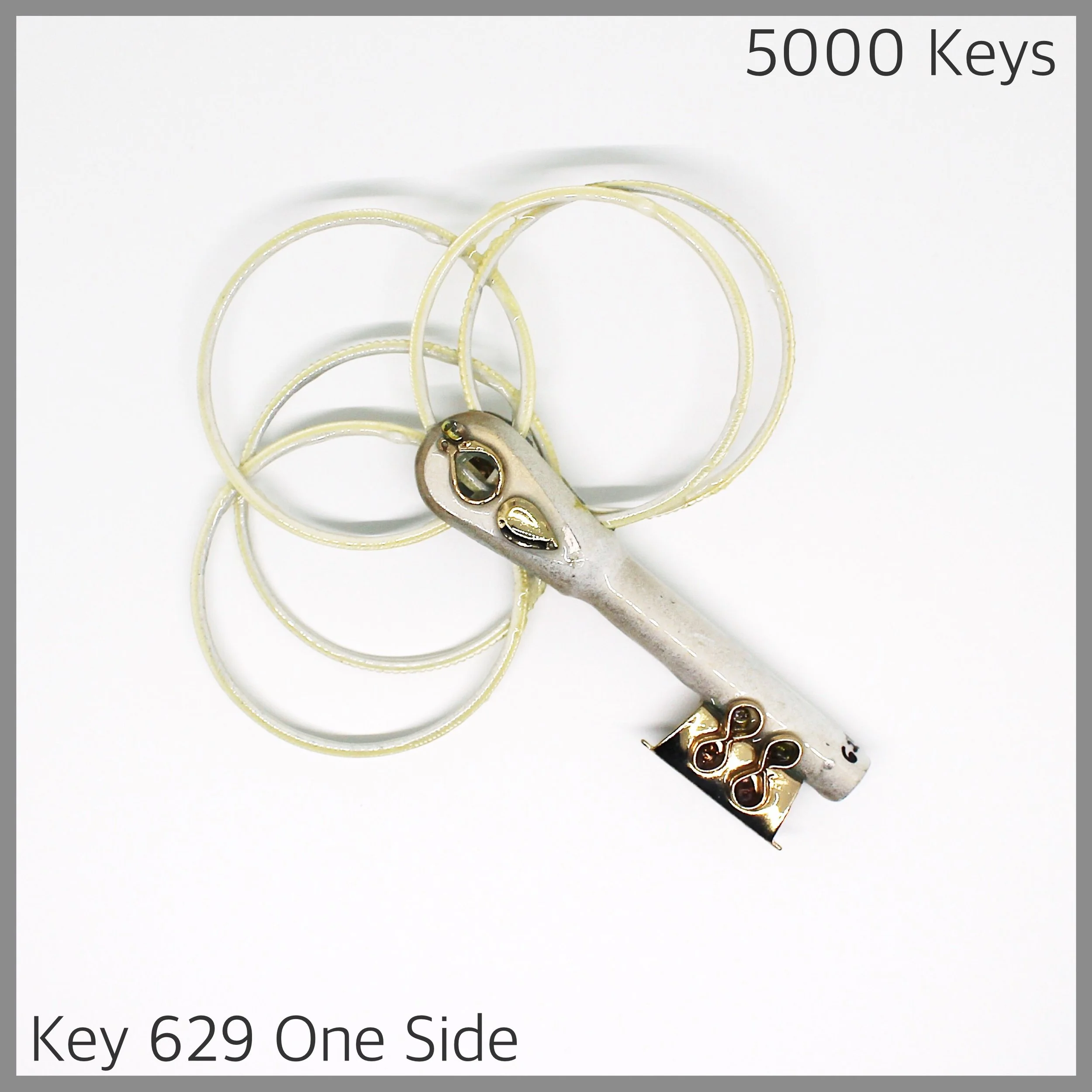 Key 629 one side - 1.JPG