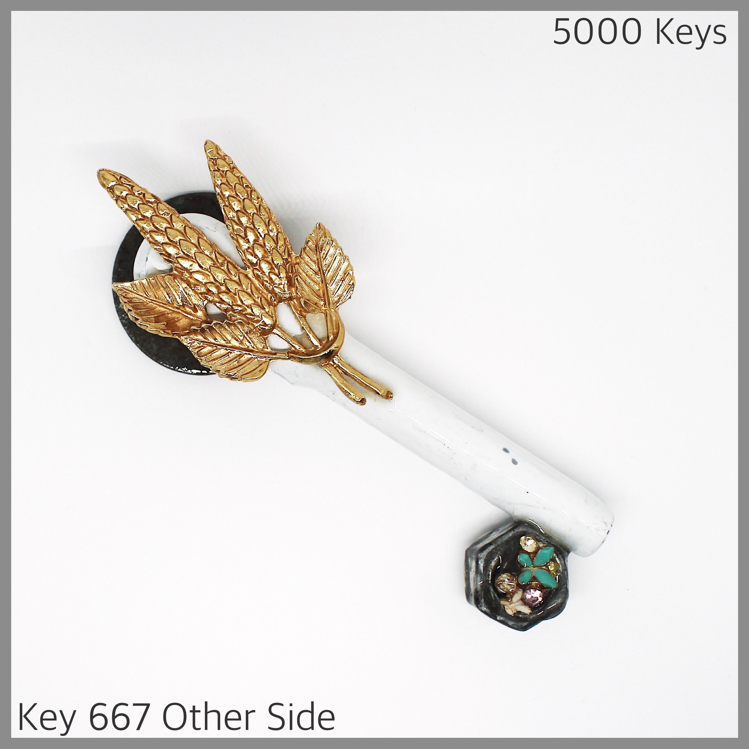 Key 667 other side - 1.JPG