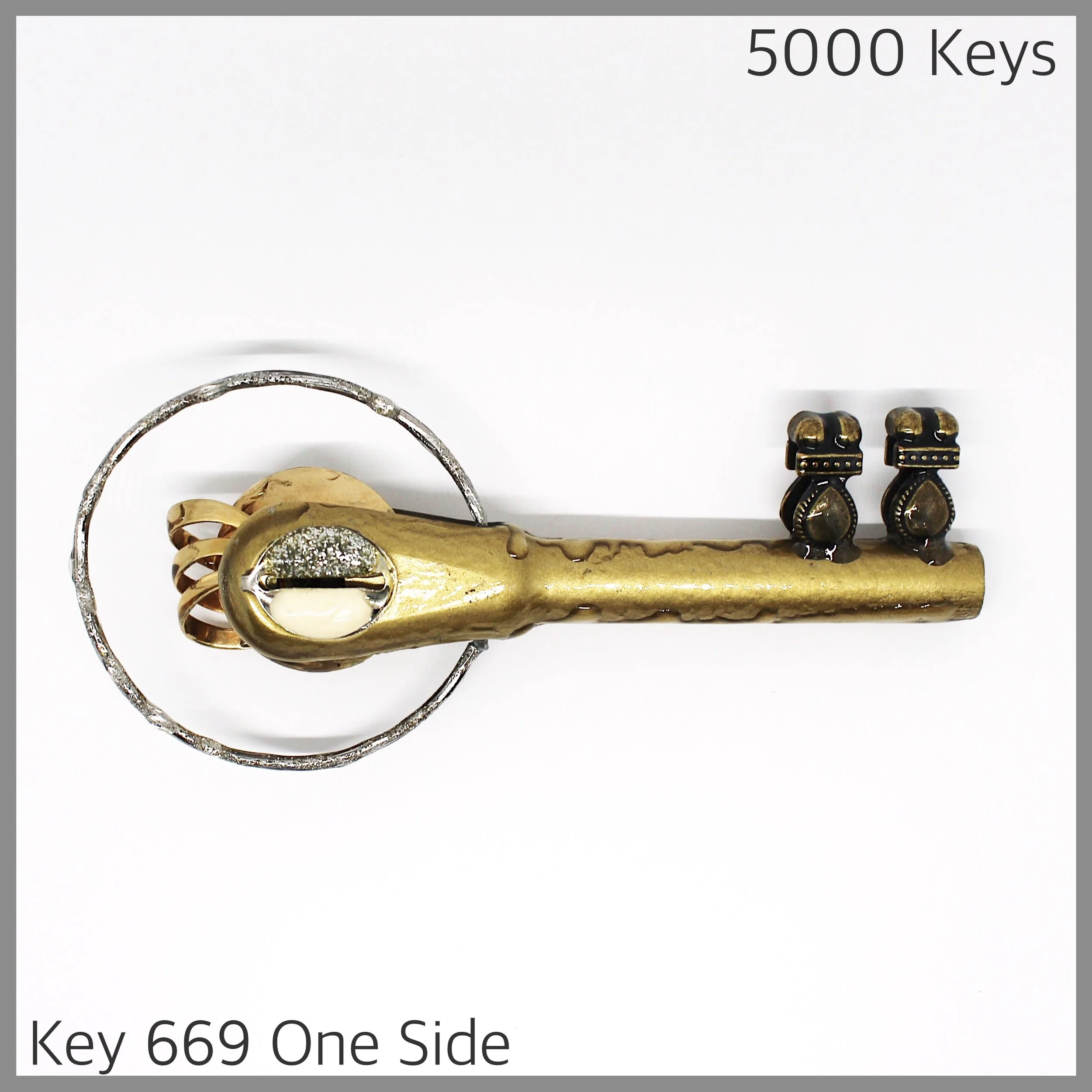 Key 669 one side - 1.JPG